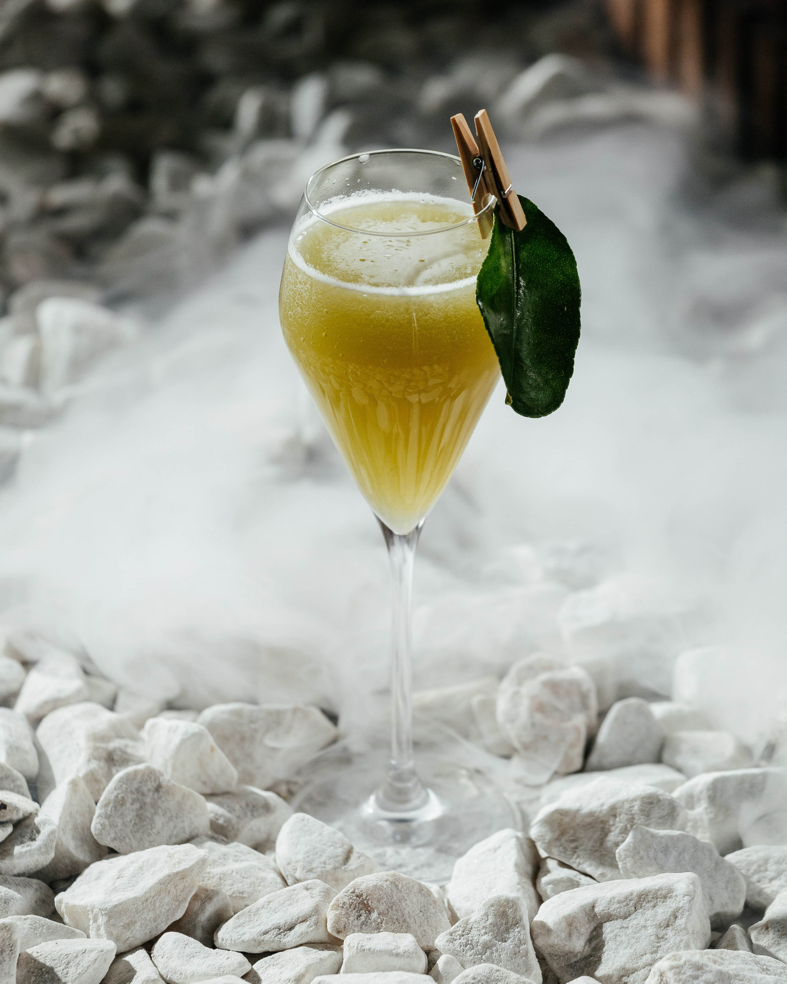 Сад Lounge. Контент фотограф в Ростове-на-Дону Мардус Павел