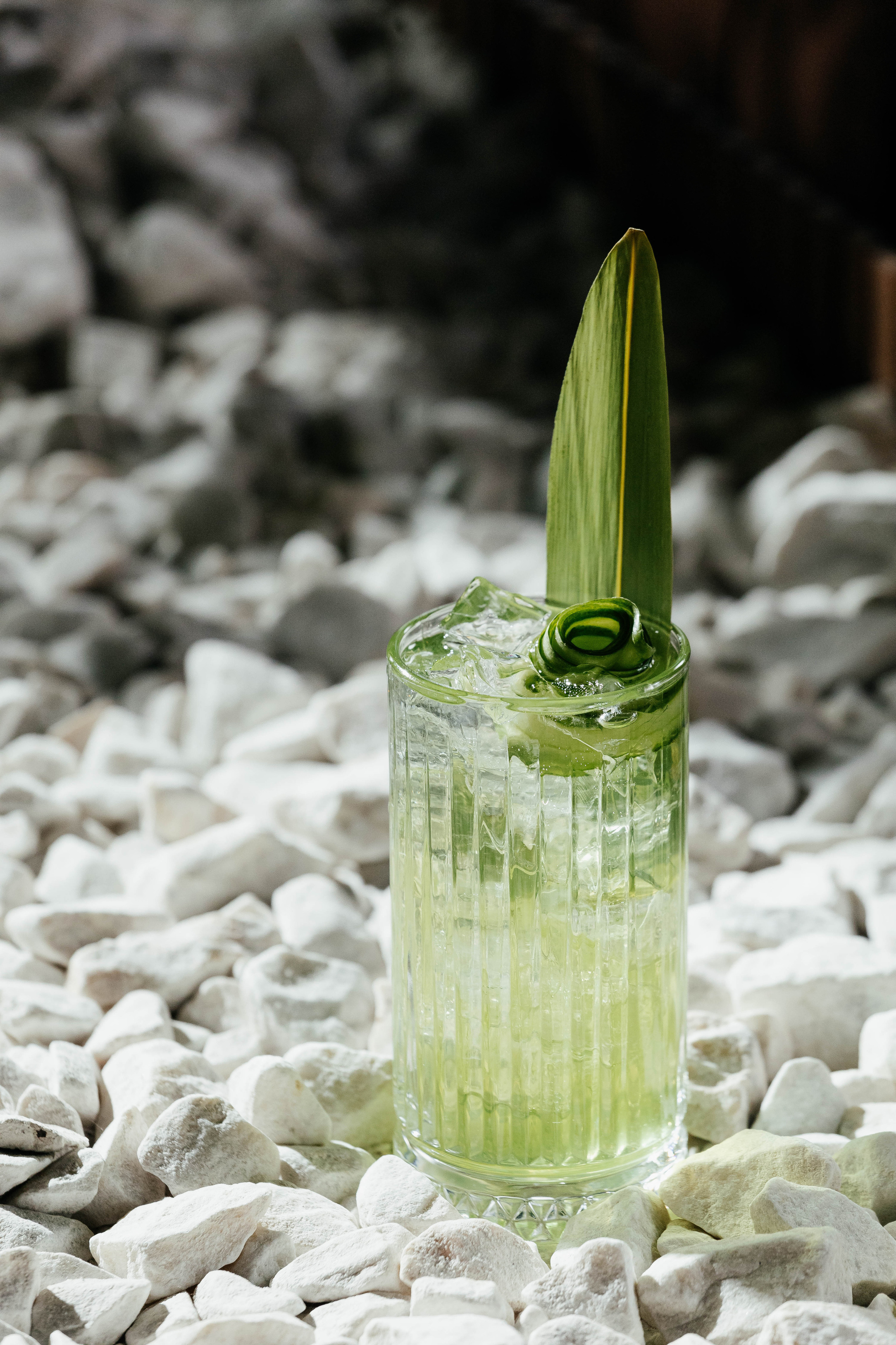 Сад Lounge. Контент фотограф в Ростове-на-Дону Мардус Павел