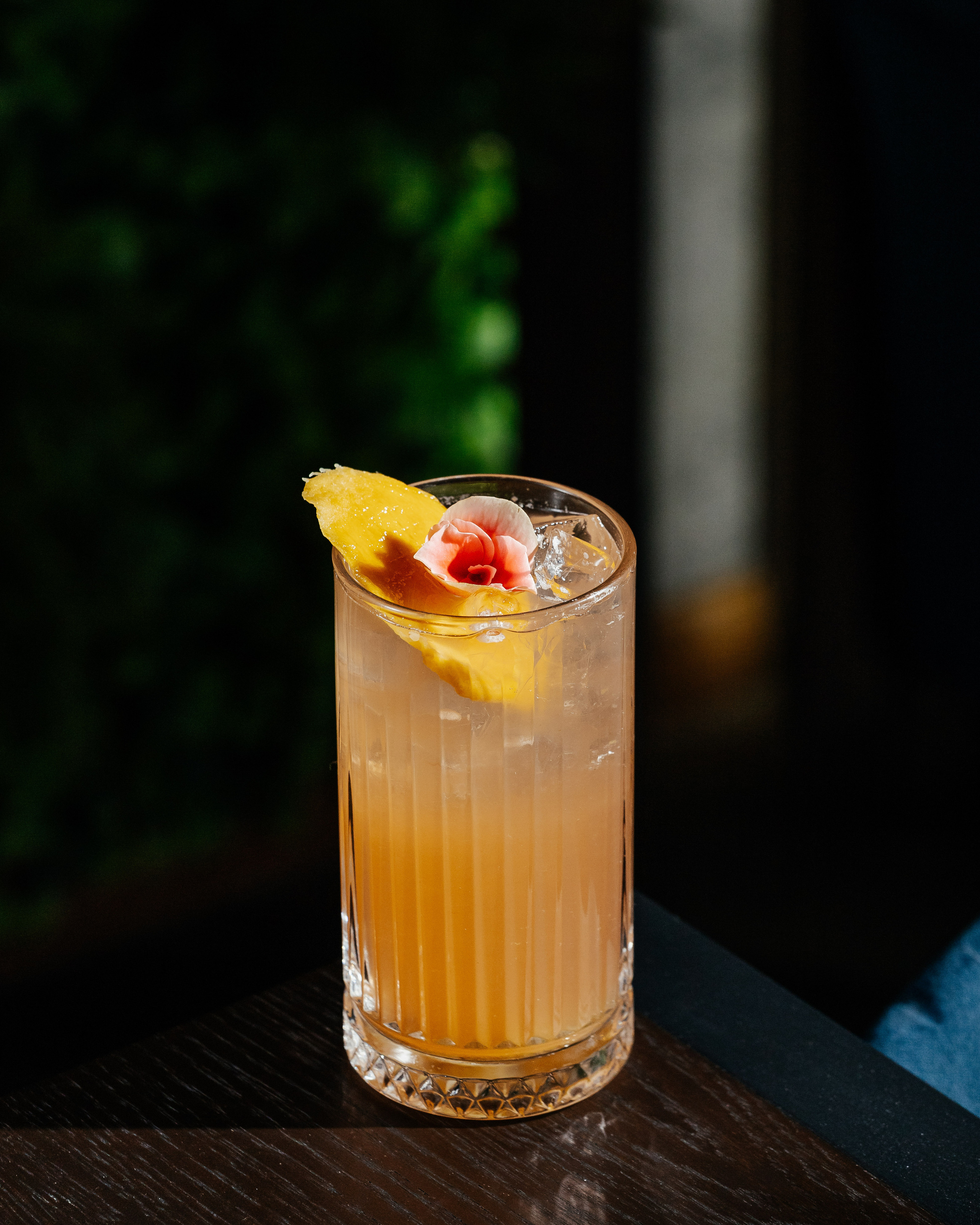 Сад Lounge. Контент фотограф в Ростове-на-Дону Мардус Павел