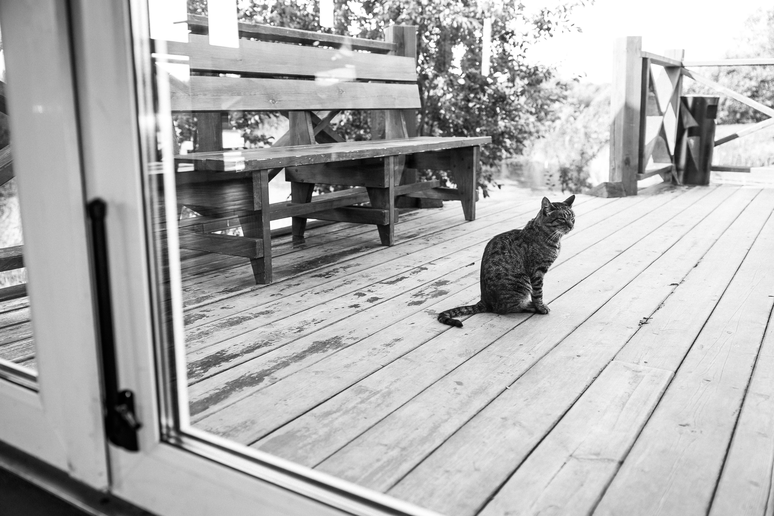 Мария и Андрей. Свадебный и портретный фотограф в Архангельске Илья Труфанов