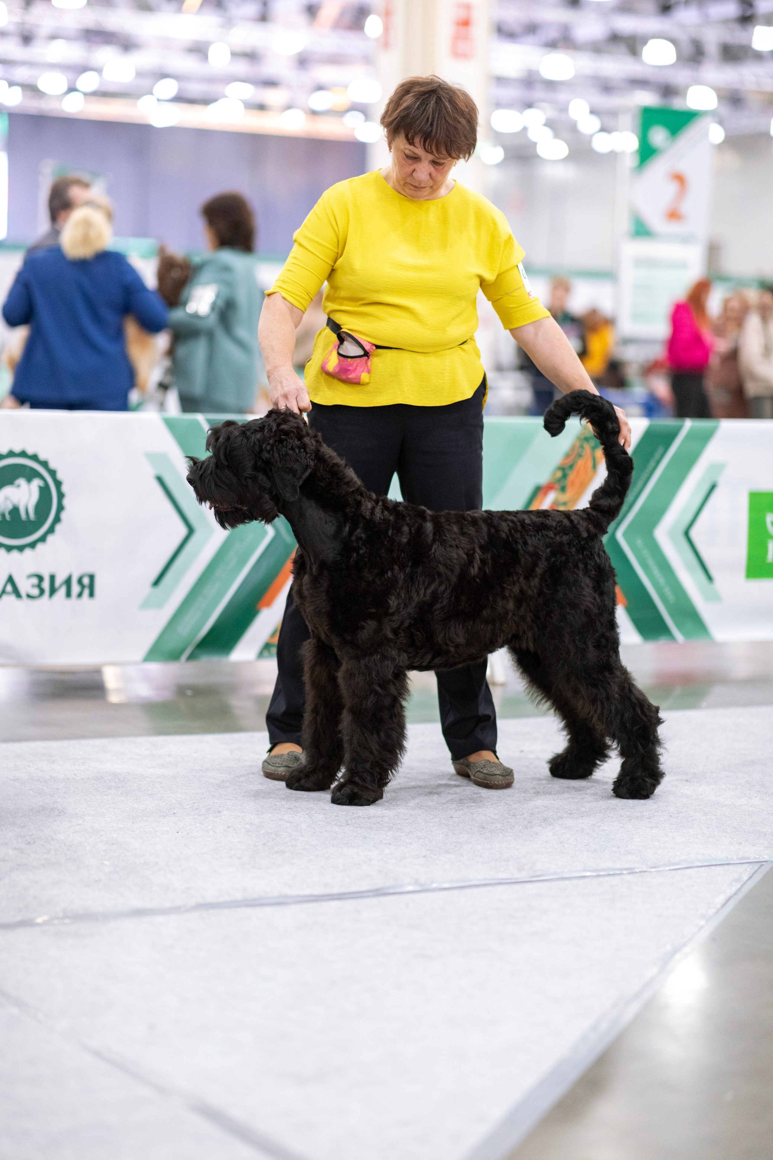 Евразия. Фотограф — анималист Татьяна Ли