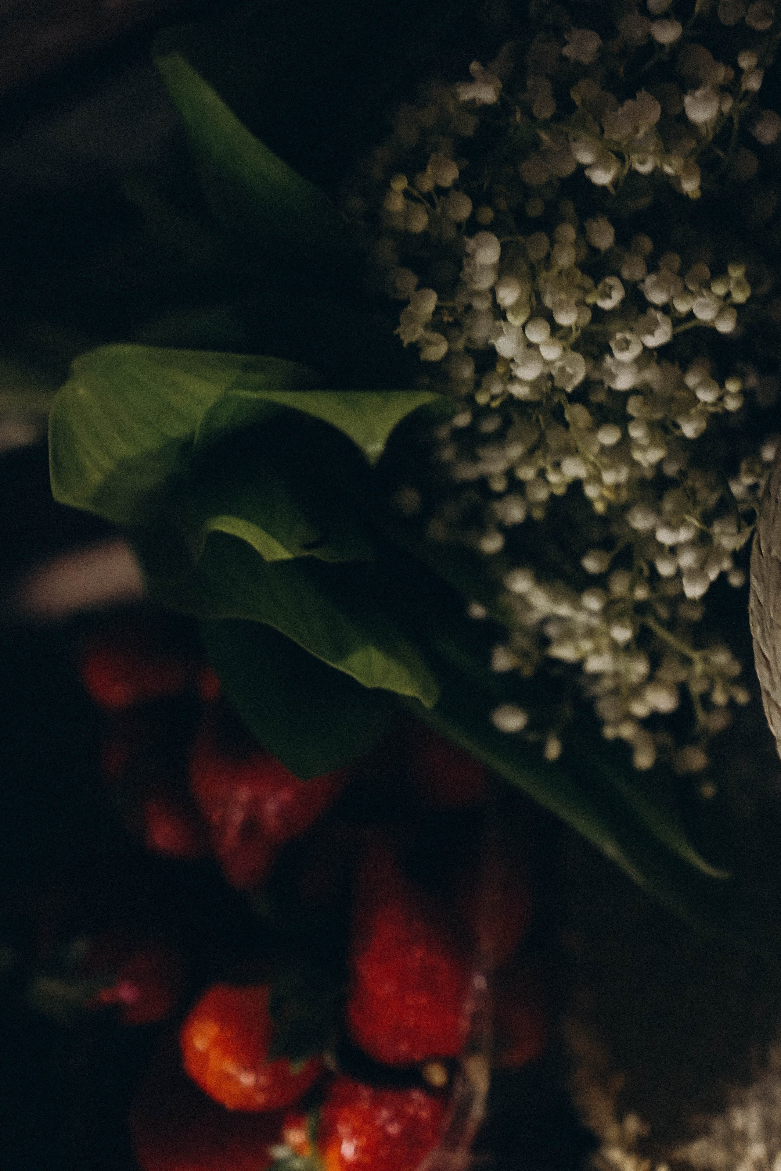 Вечернее кафе. Профессиональный фотограф, Санкт-Петербург — Виктория Богомолова