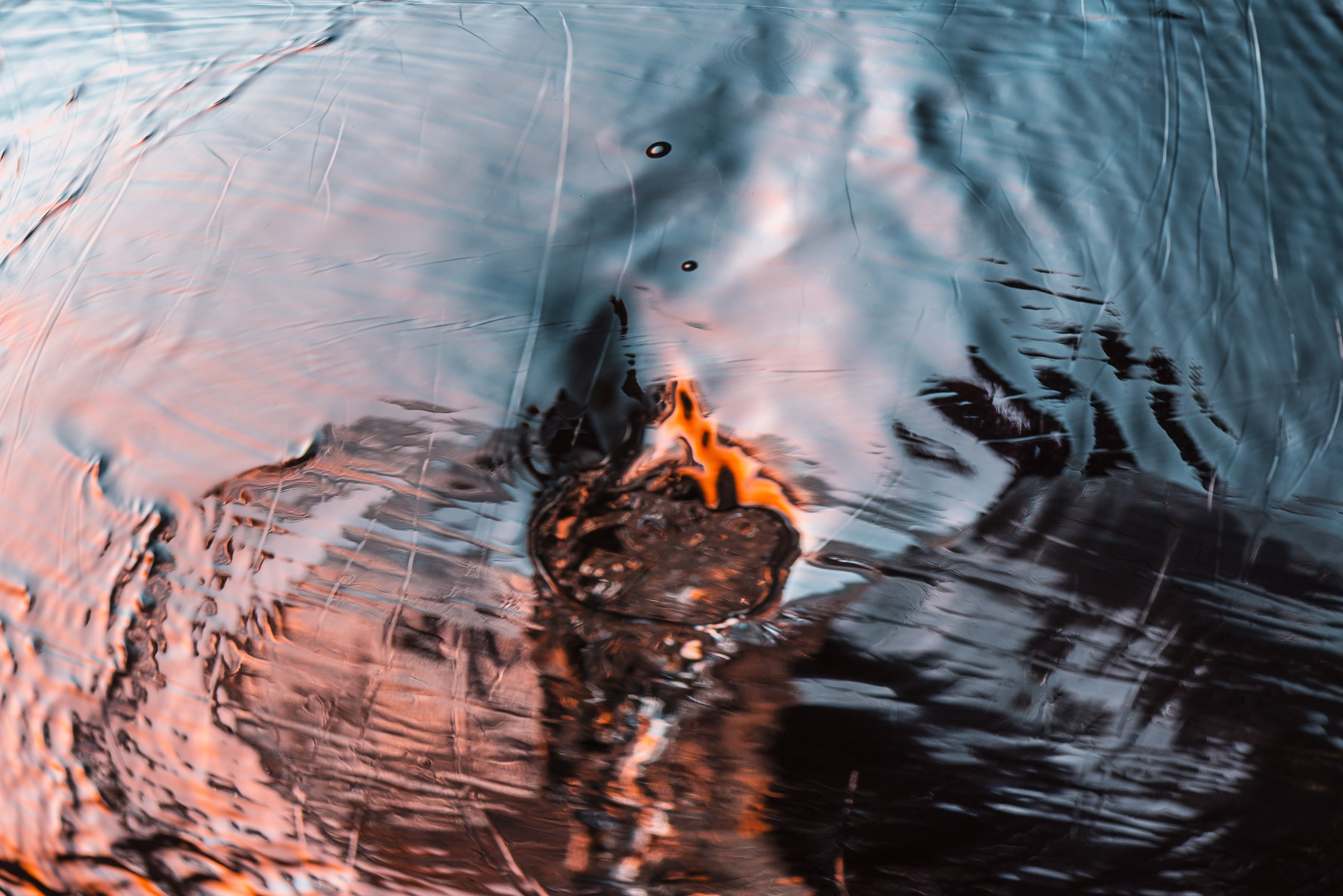 Вода и свет. Скульптуры из воды Сергея Толмачева