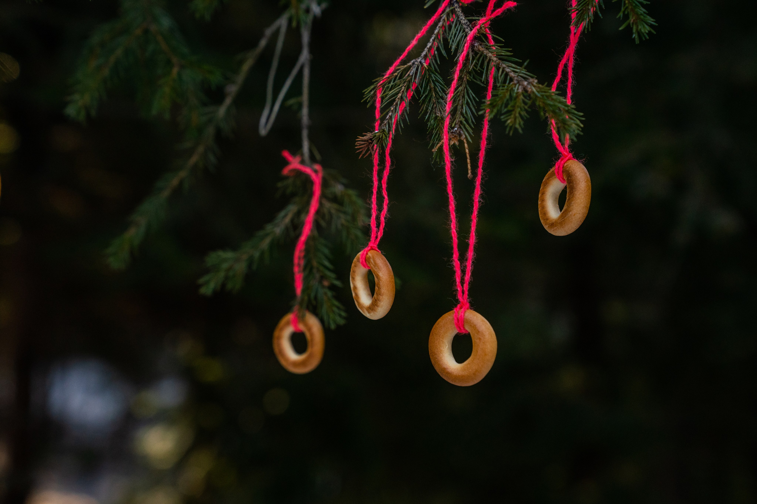 Репортаж. Фотограф Ханты-Мансийск Гагарина Мария