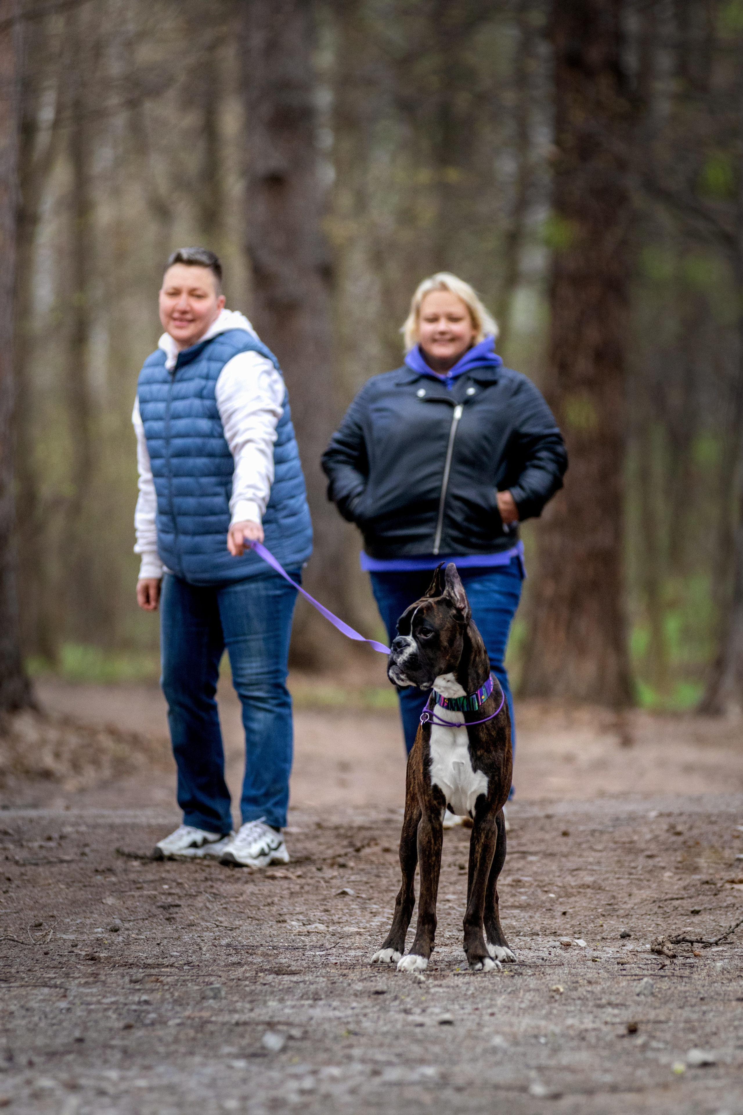 Прогулки. Фотограф — анималист в Москве и области Ольга Петракова