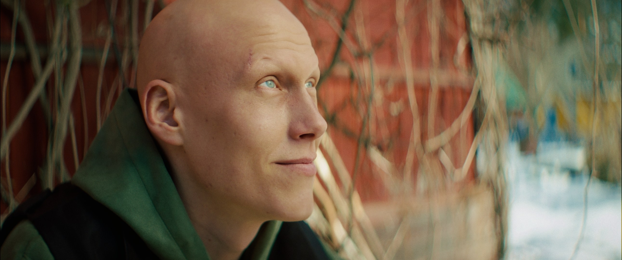 Мяу! (short film). Цветокоррекция видео онлайн Иван Сержанов