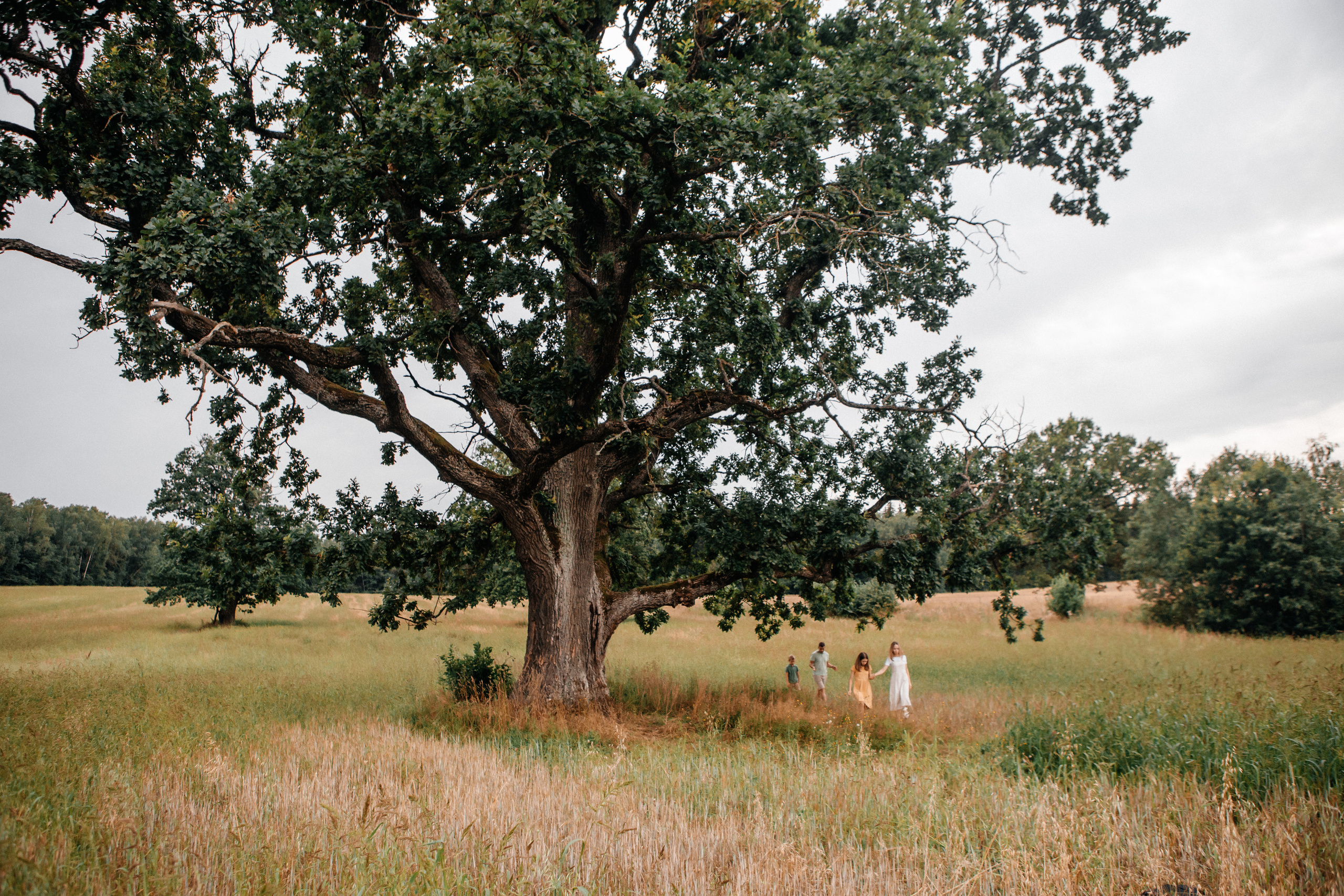 Оксана+Андрей=Яна, Глеб и Ольсон. Семейный фотограф в Минске Саша Павлюк