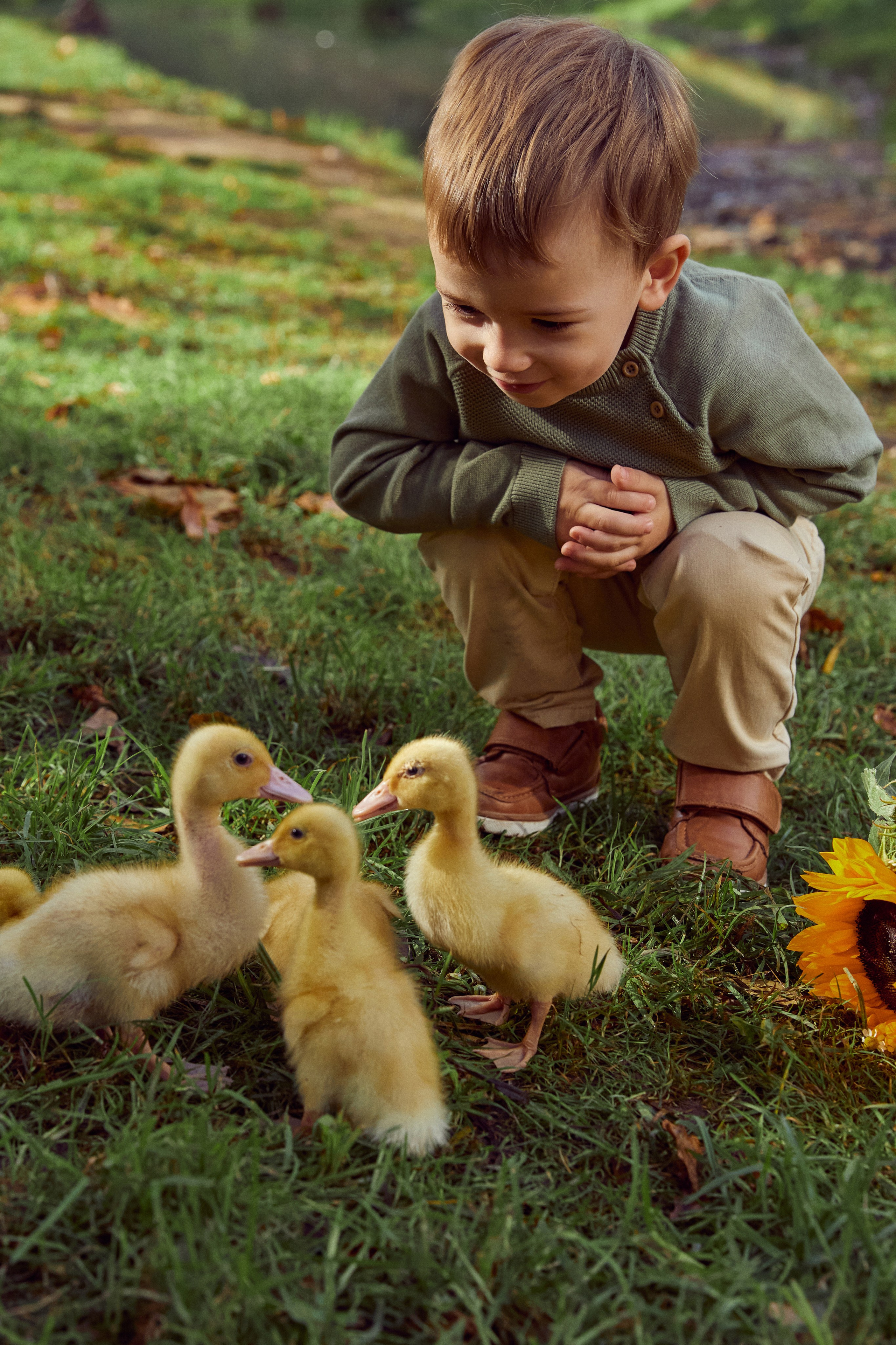 Фотодень с утятами (пруд). Фотограф