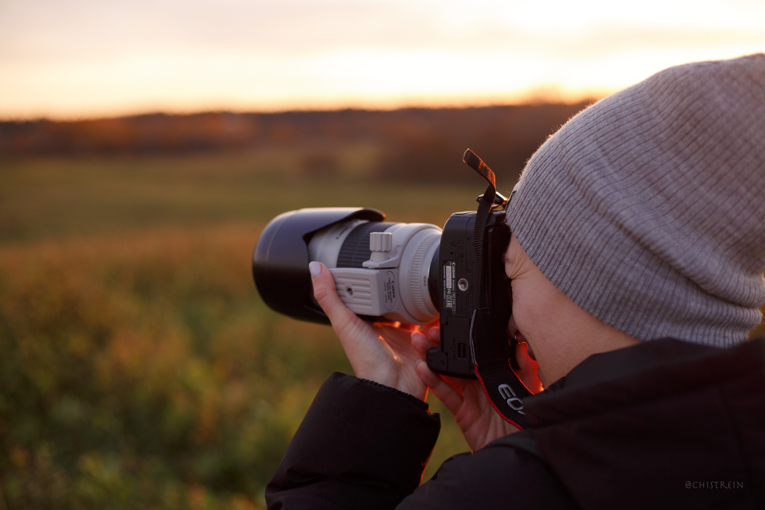 Октябрьский закат в полях. Алина и Лео. Фотограф-анималист Наталия Чистюхина в г. Сосновый Бор и ЛО