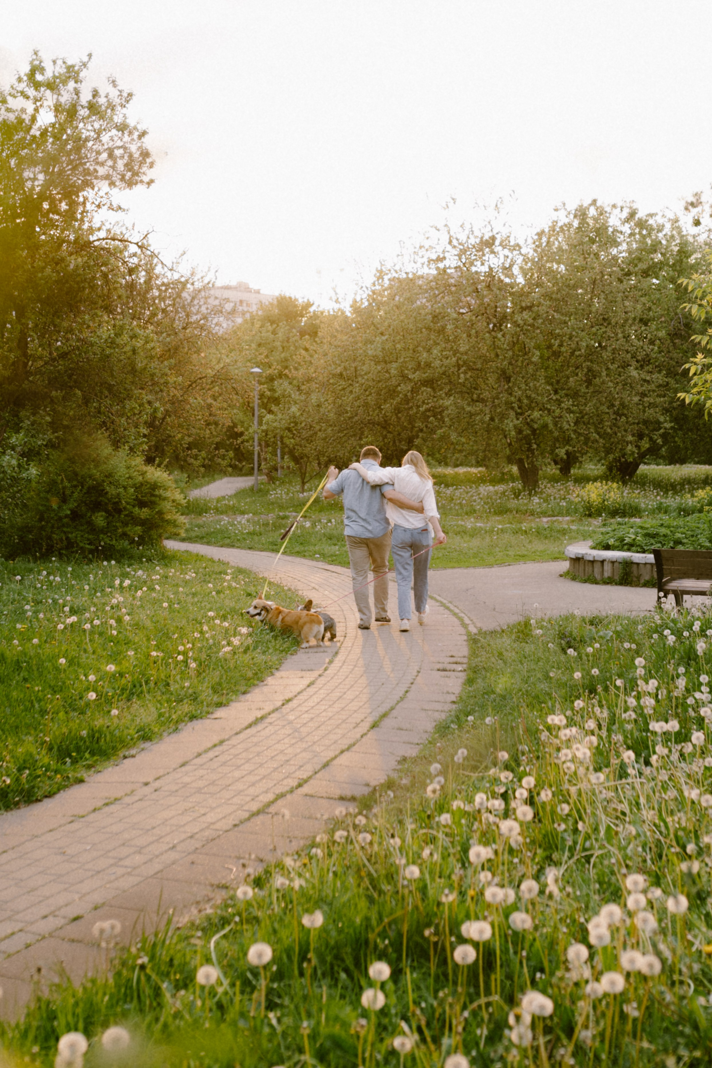 Настя и её семья. Фотограф анималист в Москве Ольга Агушева