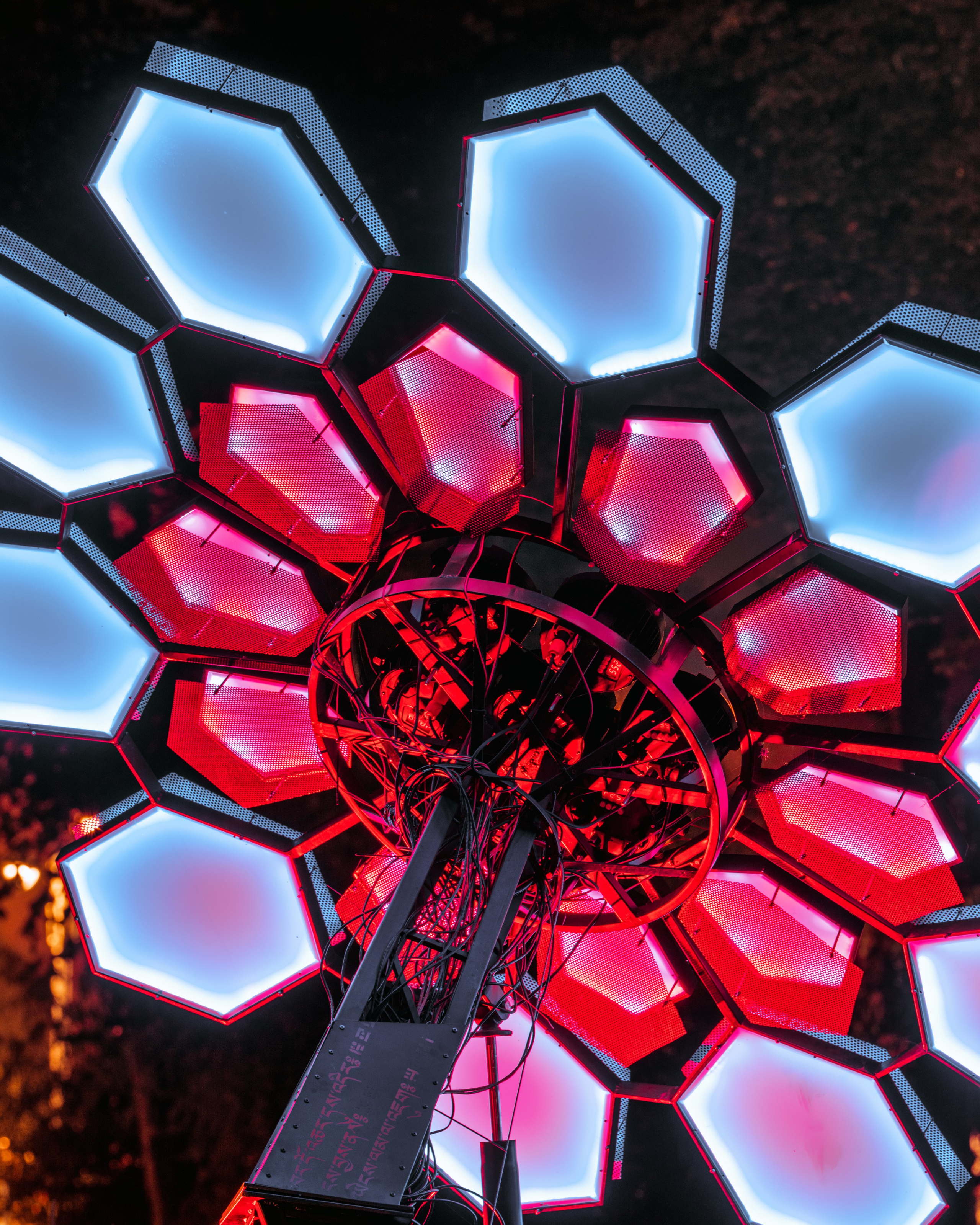 PANTERRA, Cyber Flower. @tomrus: Рустам Шагиморданов — фотограф