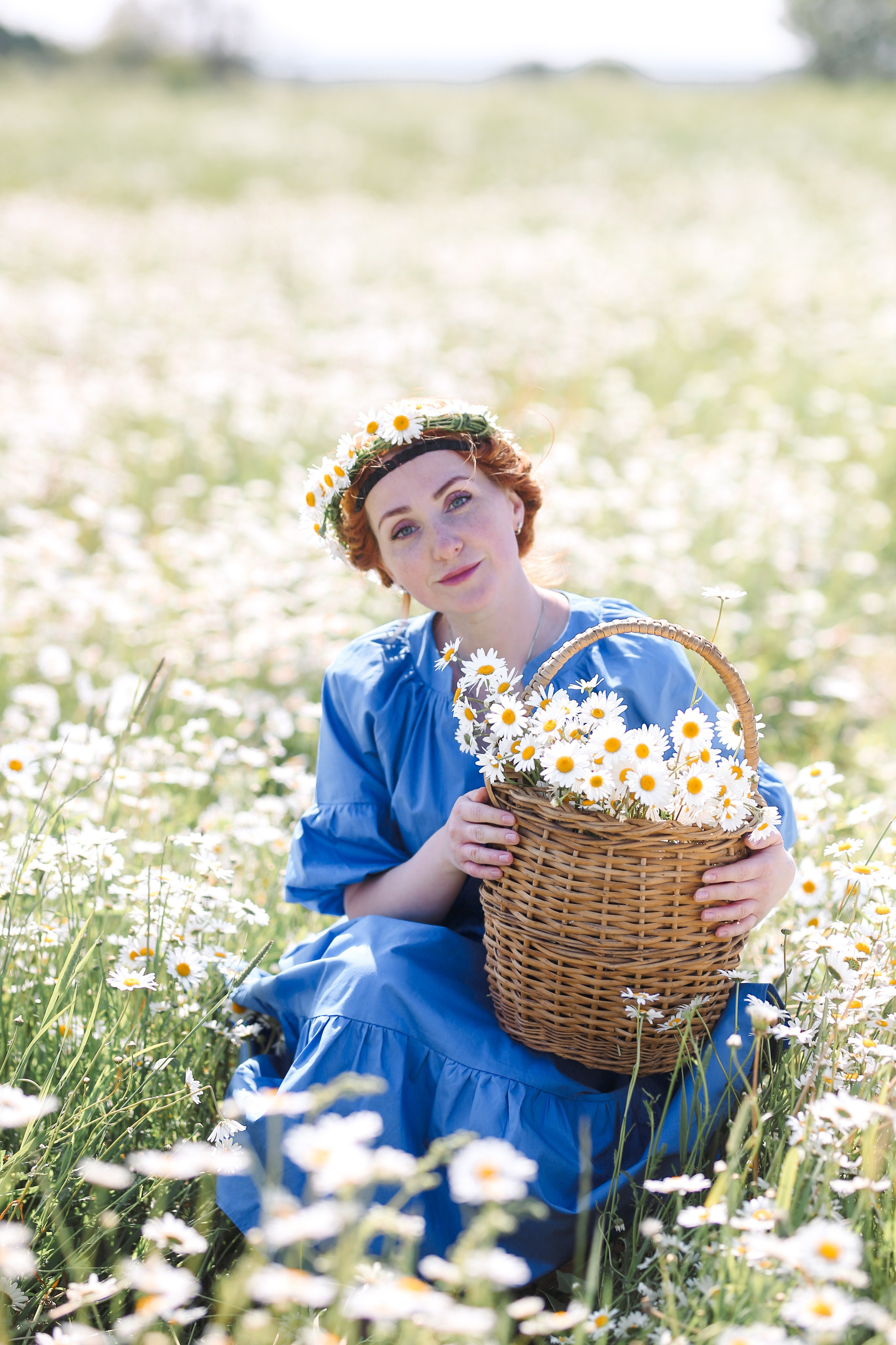 Ромашковое поле. Фотограф Анастасия Залевская
