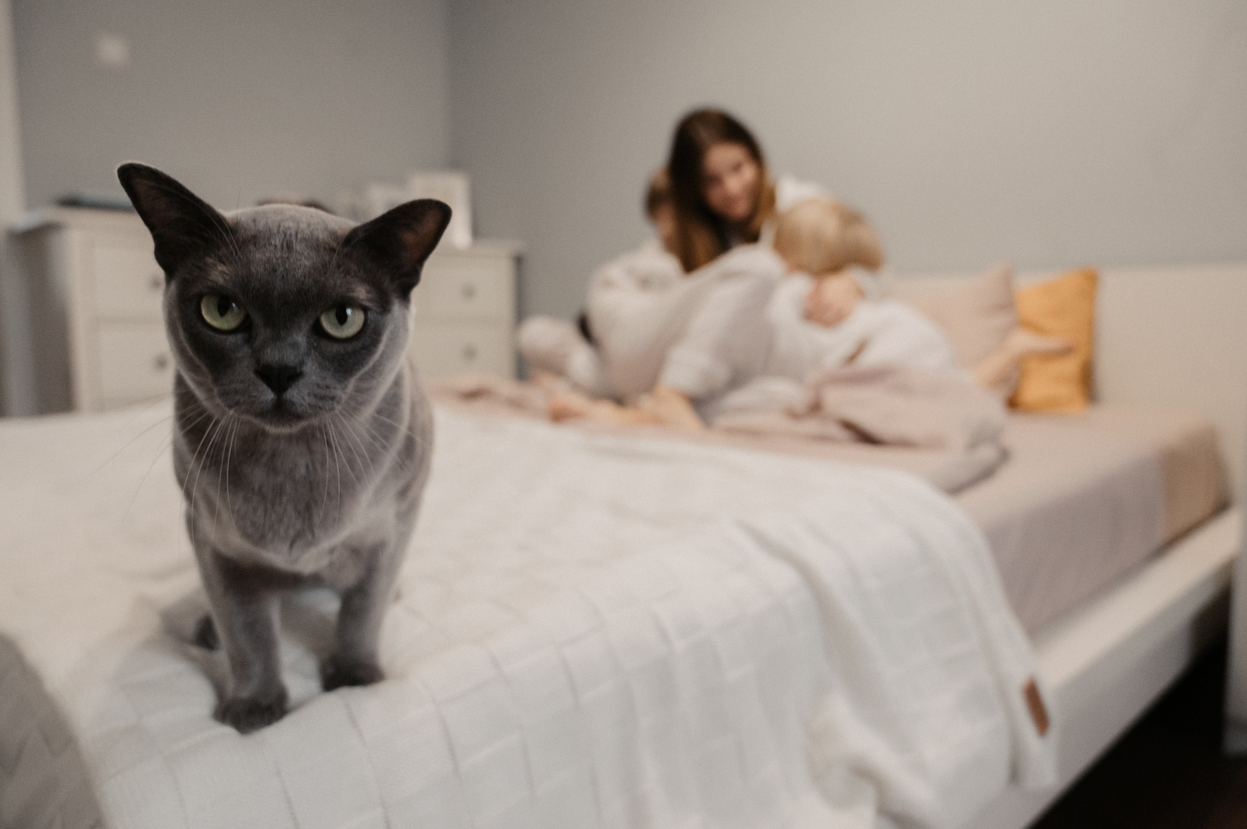 Дома. Фотограф Ким Ангелина