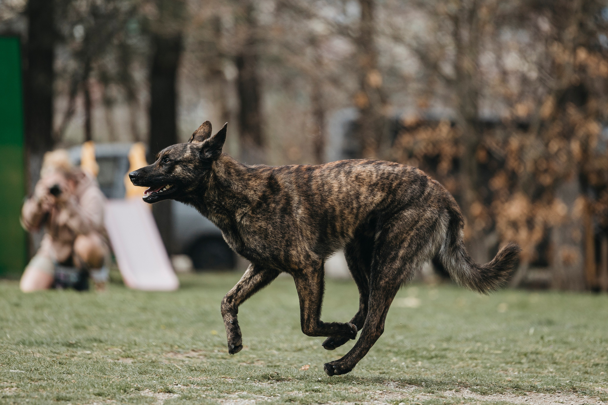 Геленджик Мондьоринг. Фотограф-анималист Анна Маринич