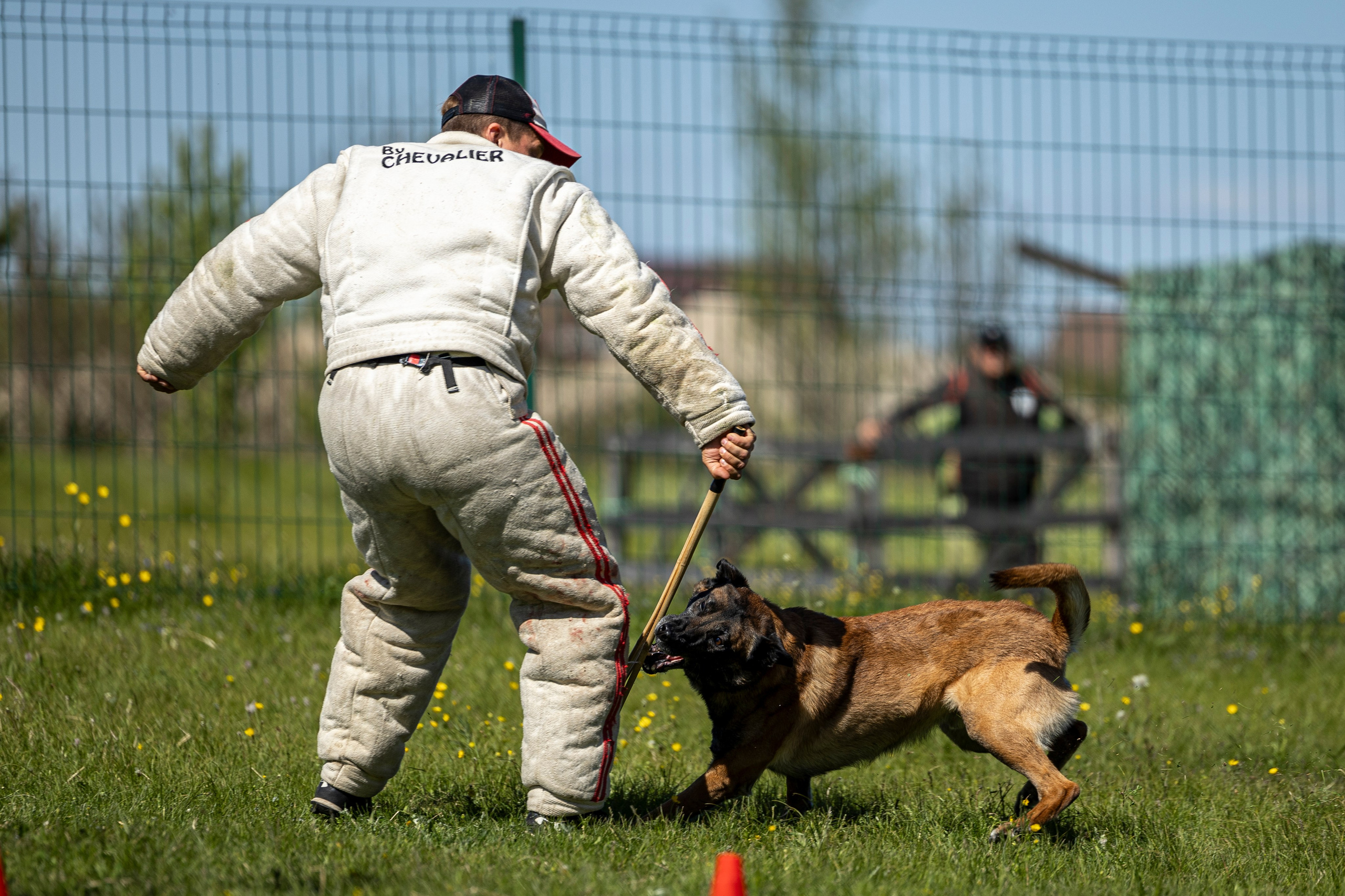Испытания по мондьорингу в Нижнем Новгороде. Фотограф-анималист Анна Маринич