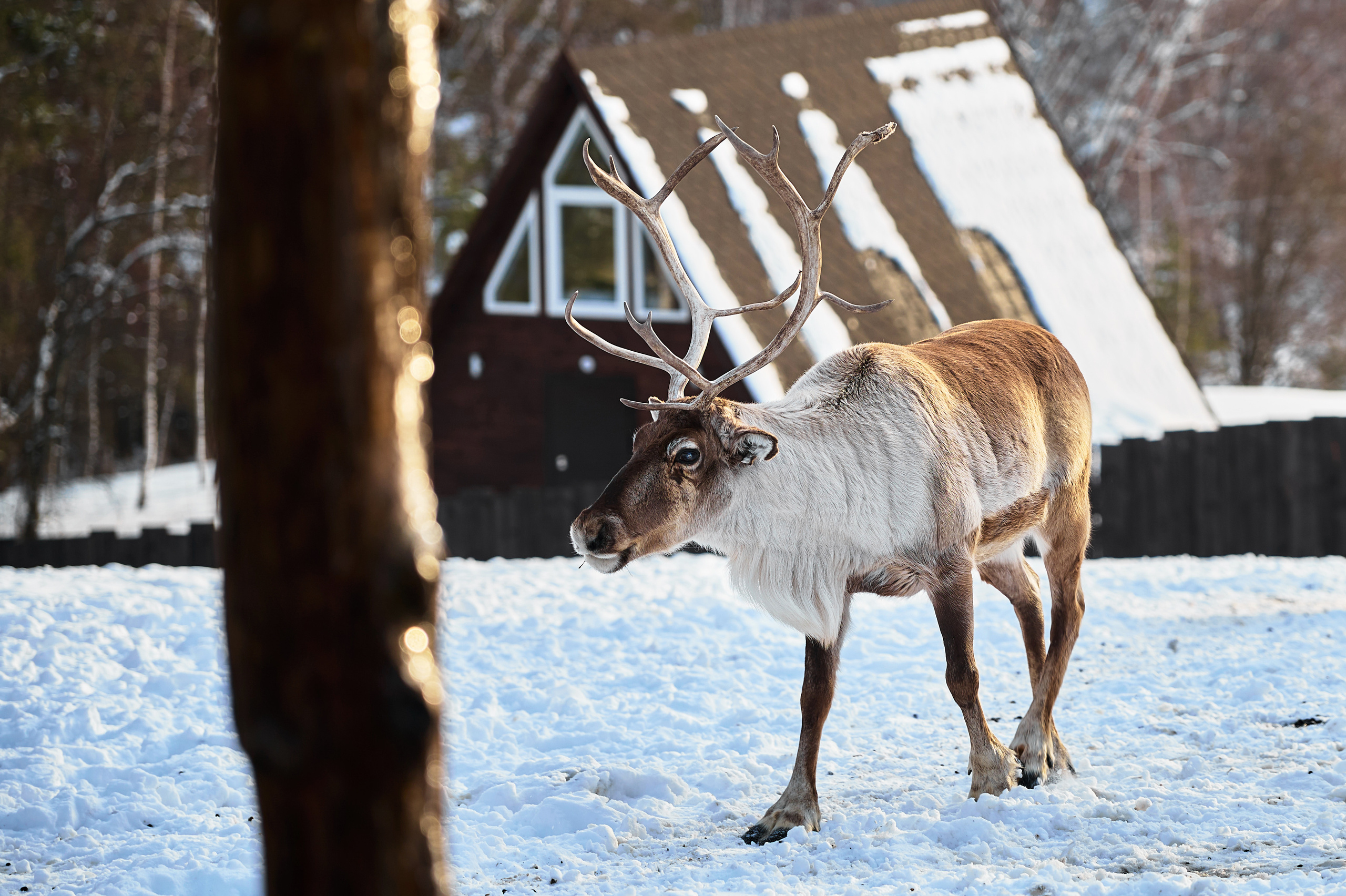 Пейзажный фотограф в Горном Алтае: съёмки природы и гор. Фотограф Опыт Качество Скорость Горный Алтай Барнаул