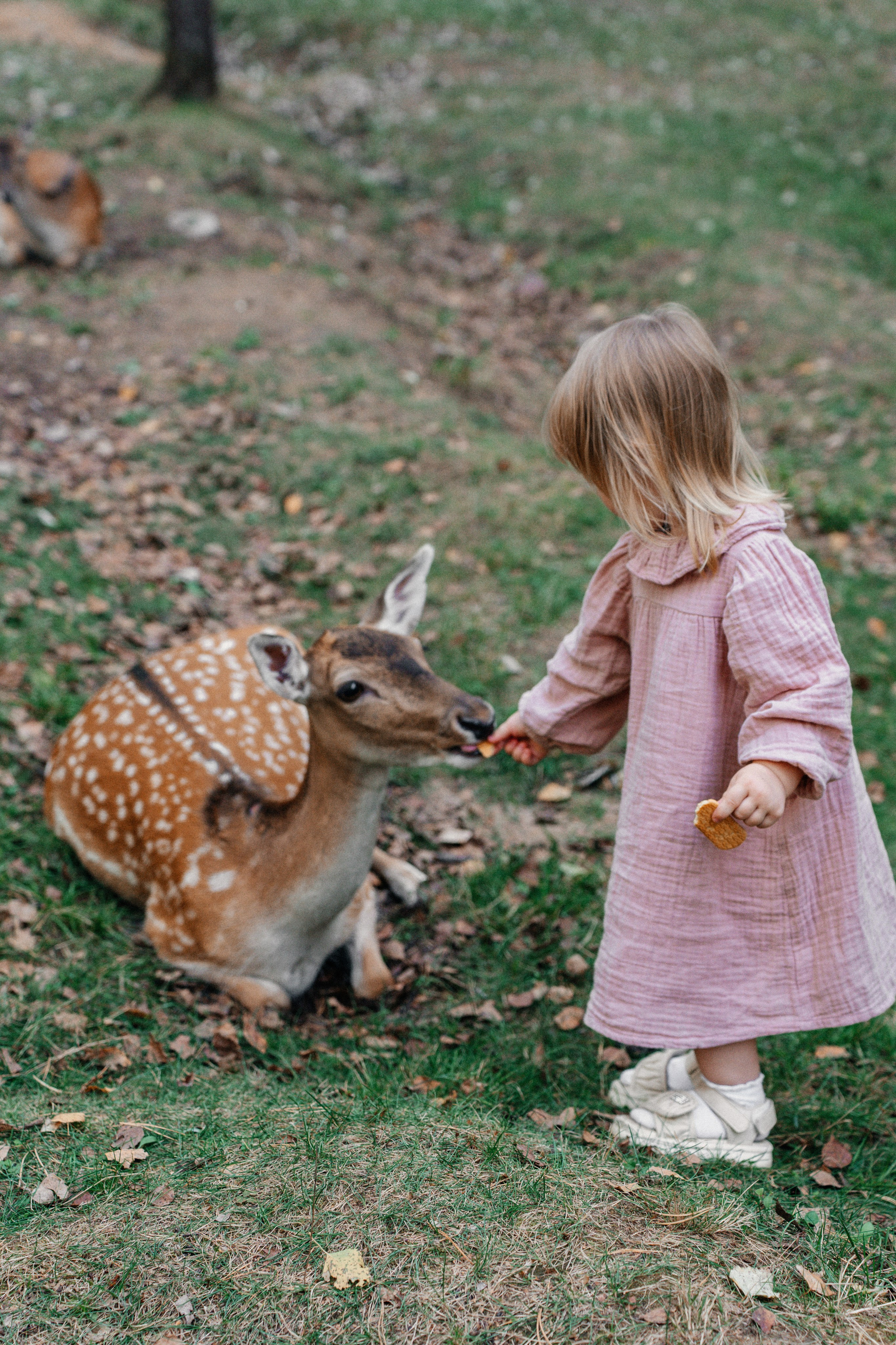 Диприз — в мире диких животных. Ваш семейный фотограф в Минске — Вика Трегубова