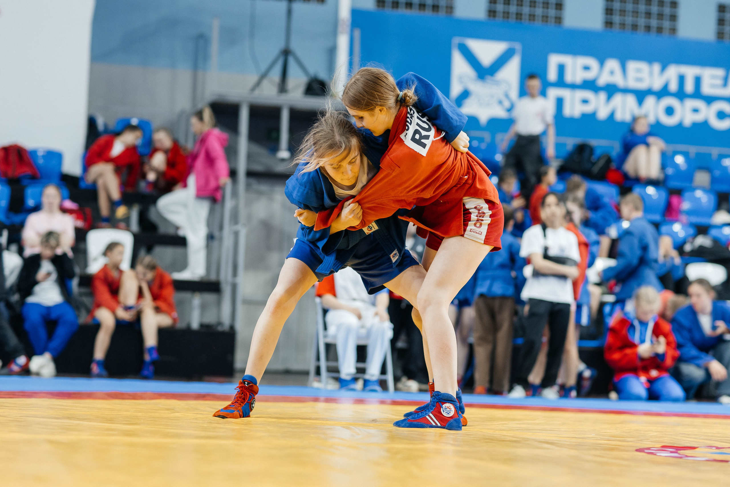 Sambo Championship. Maxim Tsoy Photography