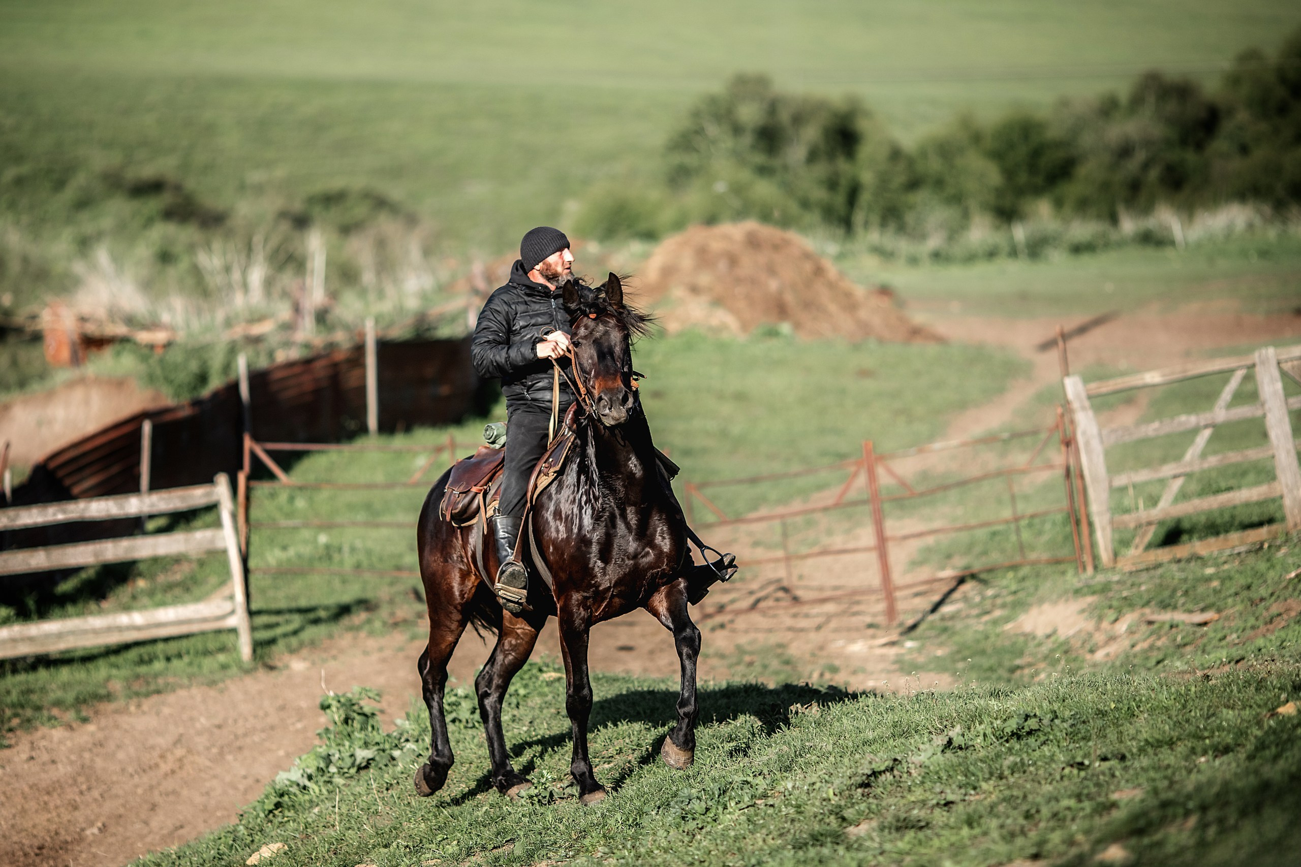 КЧР май'24. BrisArts