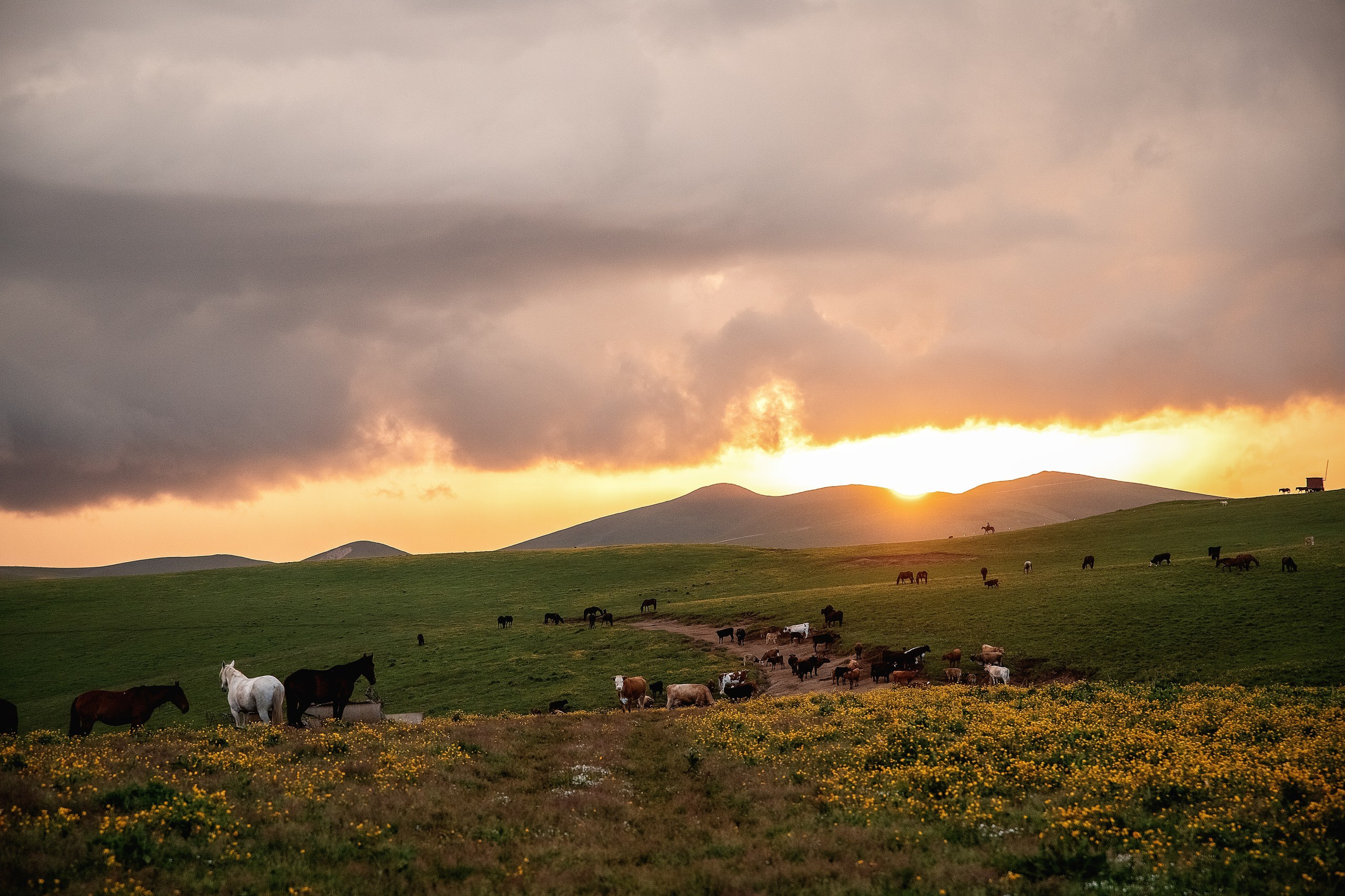 Плато Бийчесын. BrisArts