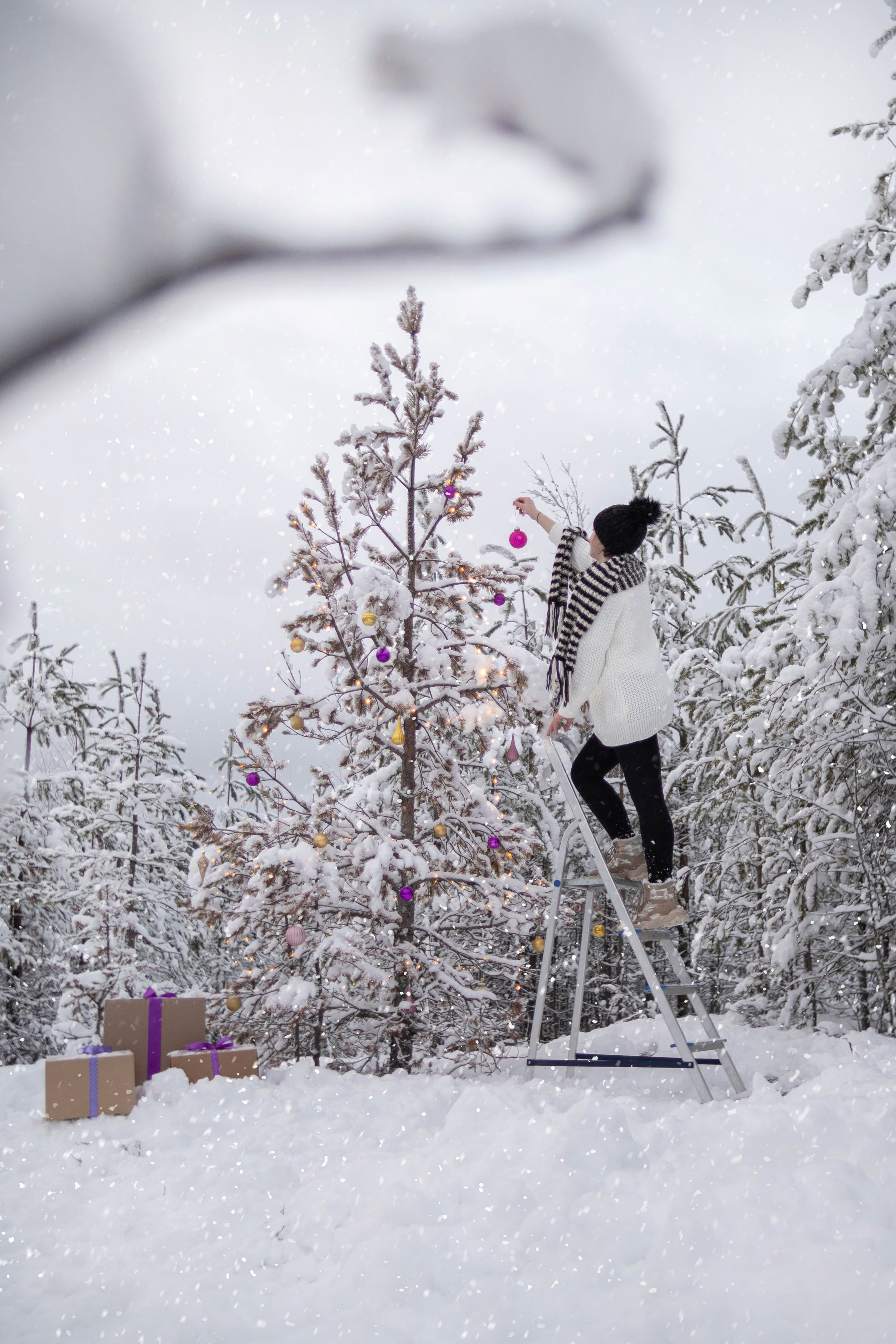 Новогодний 2021-2022. Фотограф Екатерина Шишкина. Питкяранта. Карелия