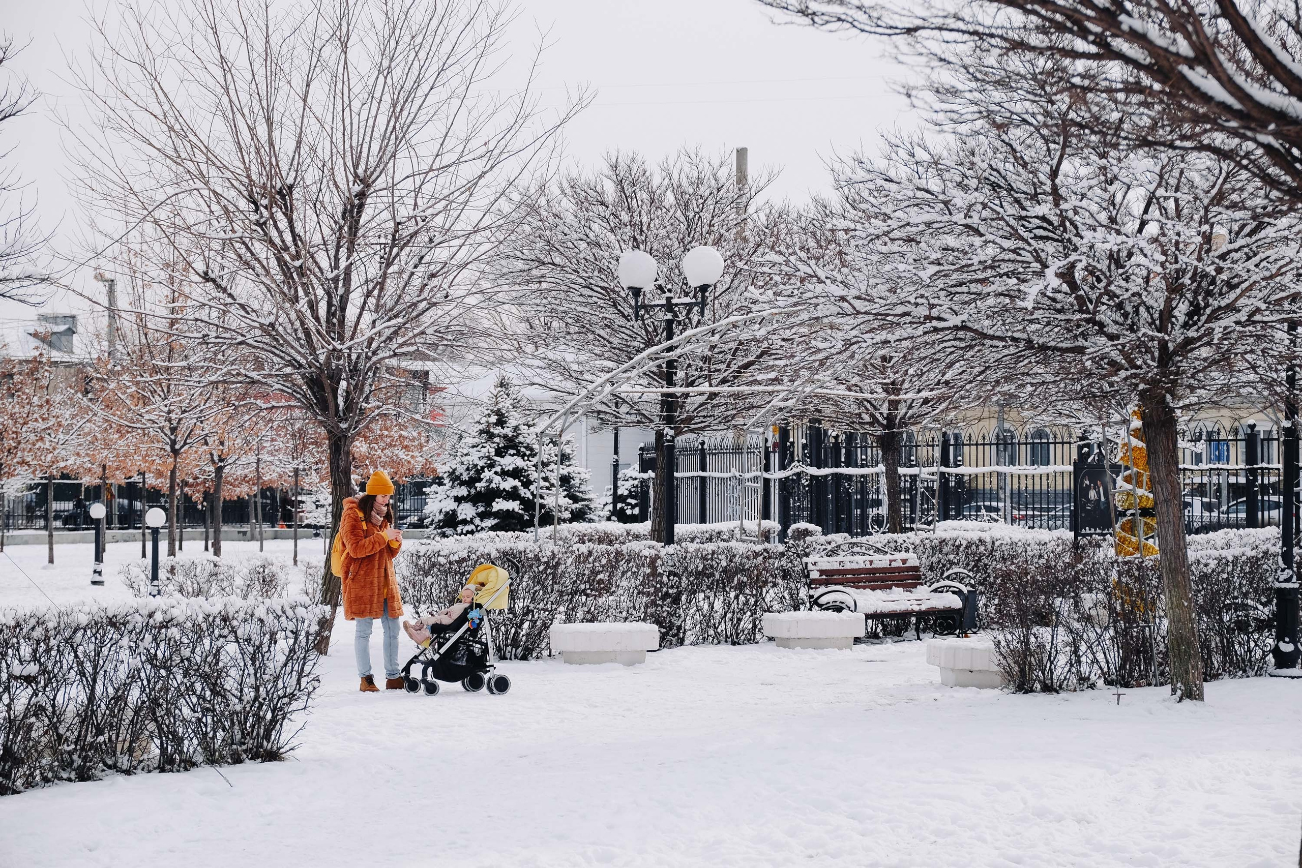 Театральный парк. Зима. Фотограф Анатолий Деникин