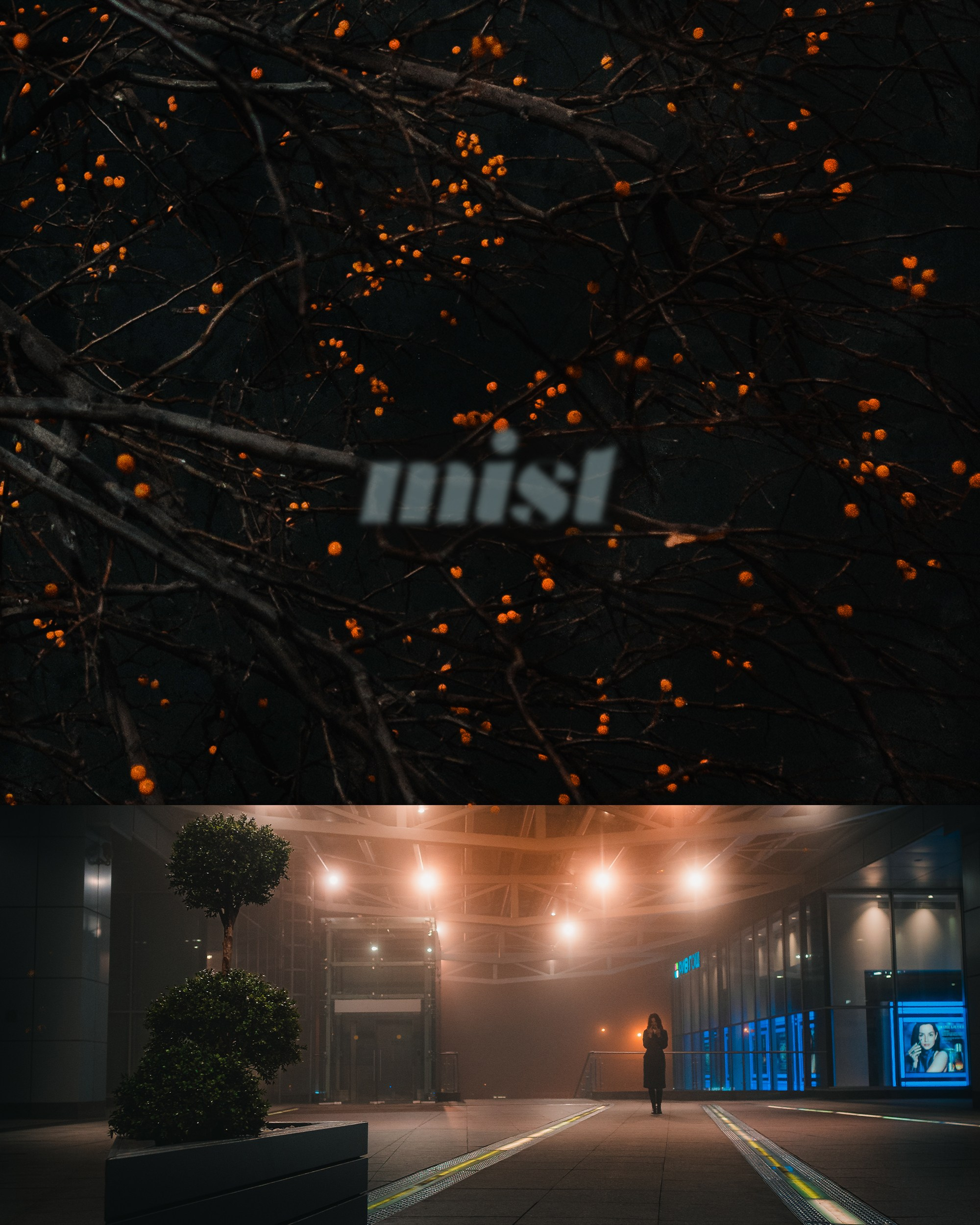 Туман в октябре '21. Фёдор Малюгин. Ваш бади в визуале