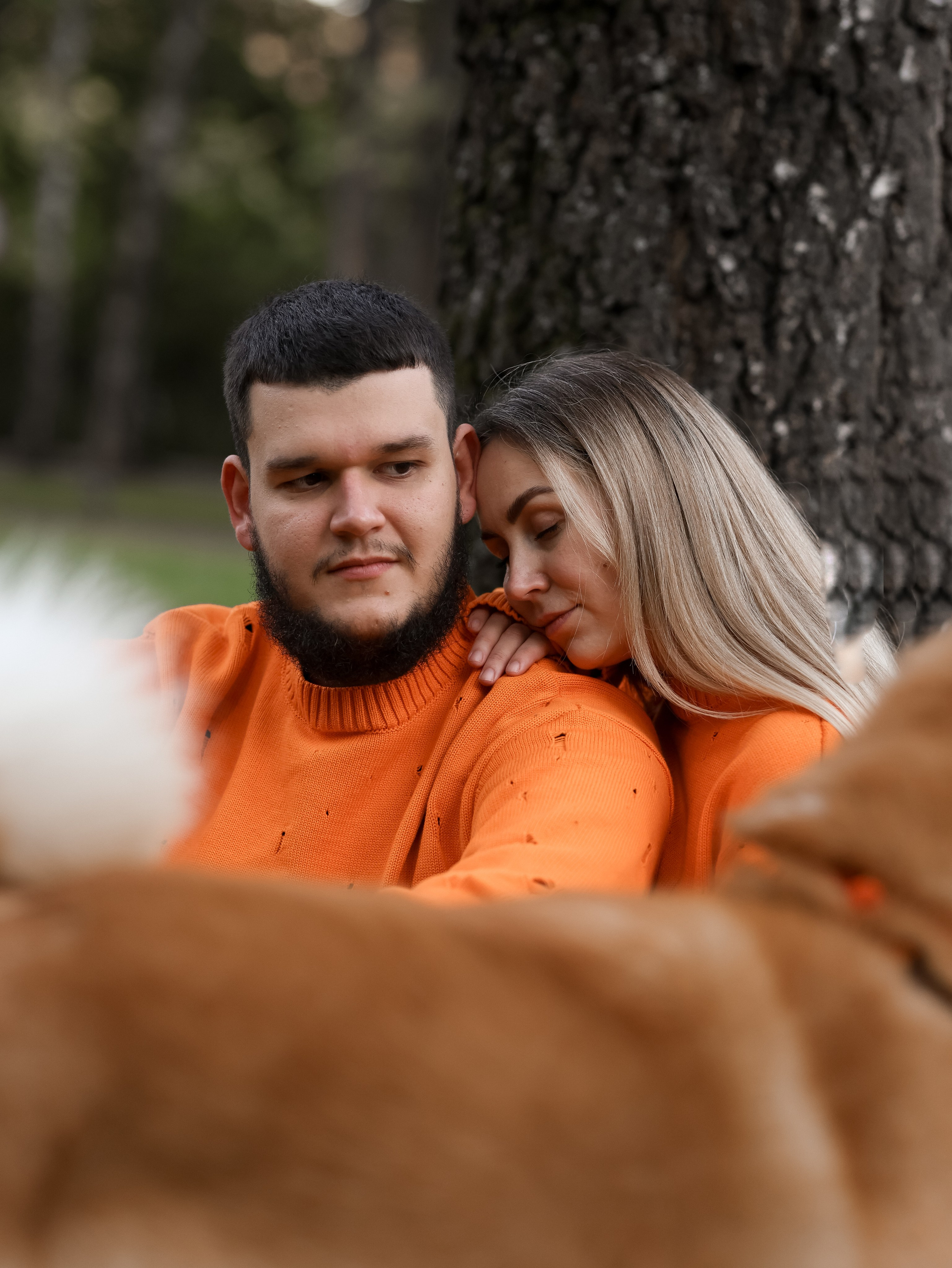 Гранд, Вика и Степан. Фотограф-анималист в Москве Кириллова Татьяна