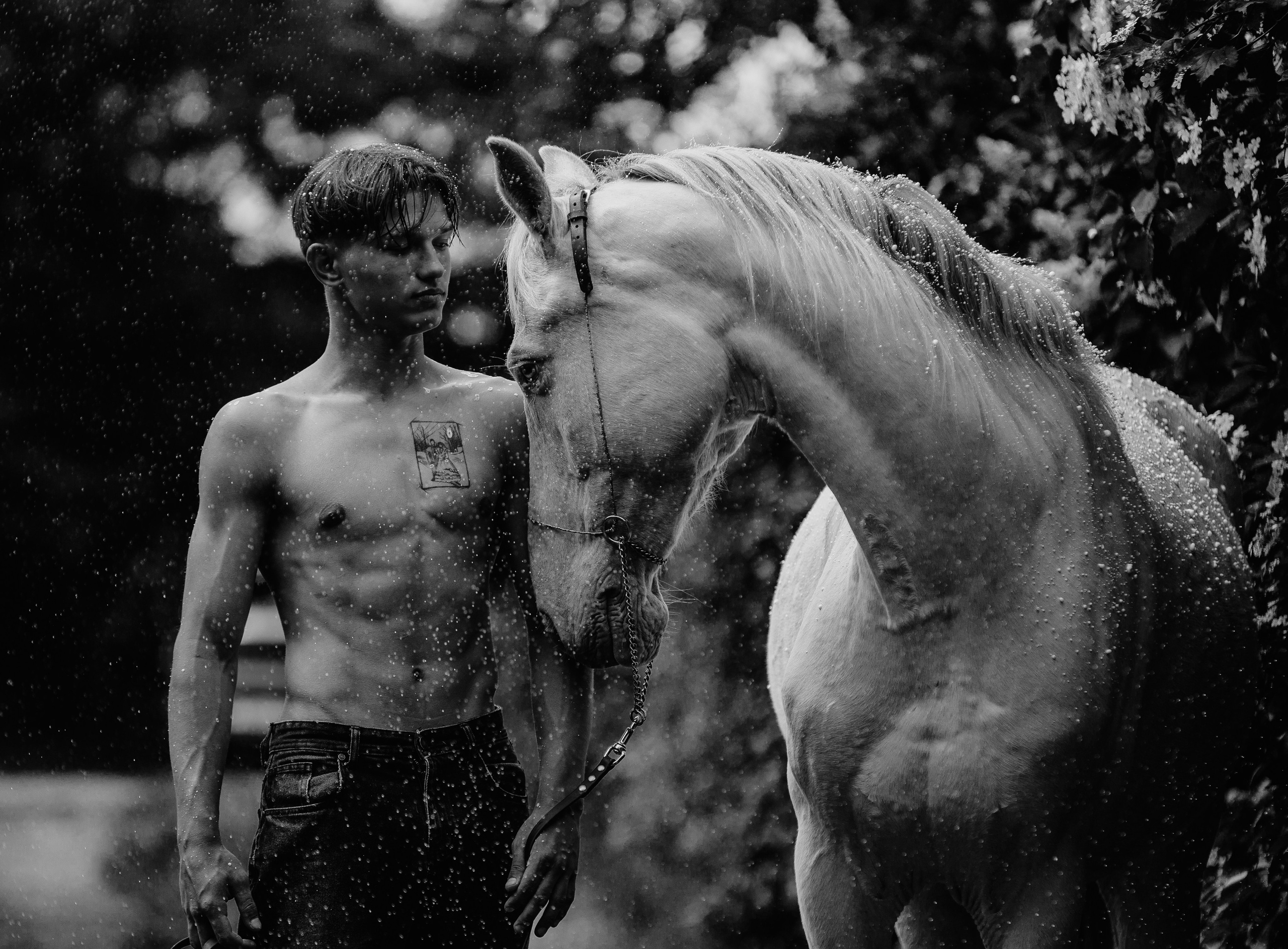 Толя. Фотограф-анималист Ксендзова Кристина