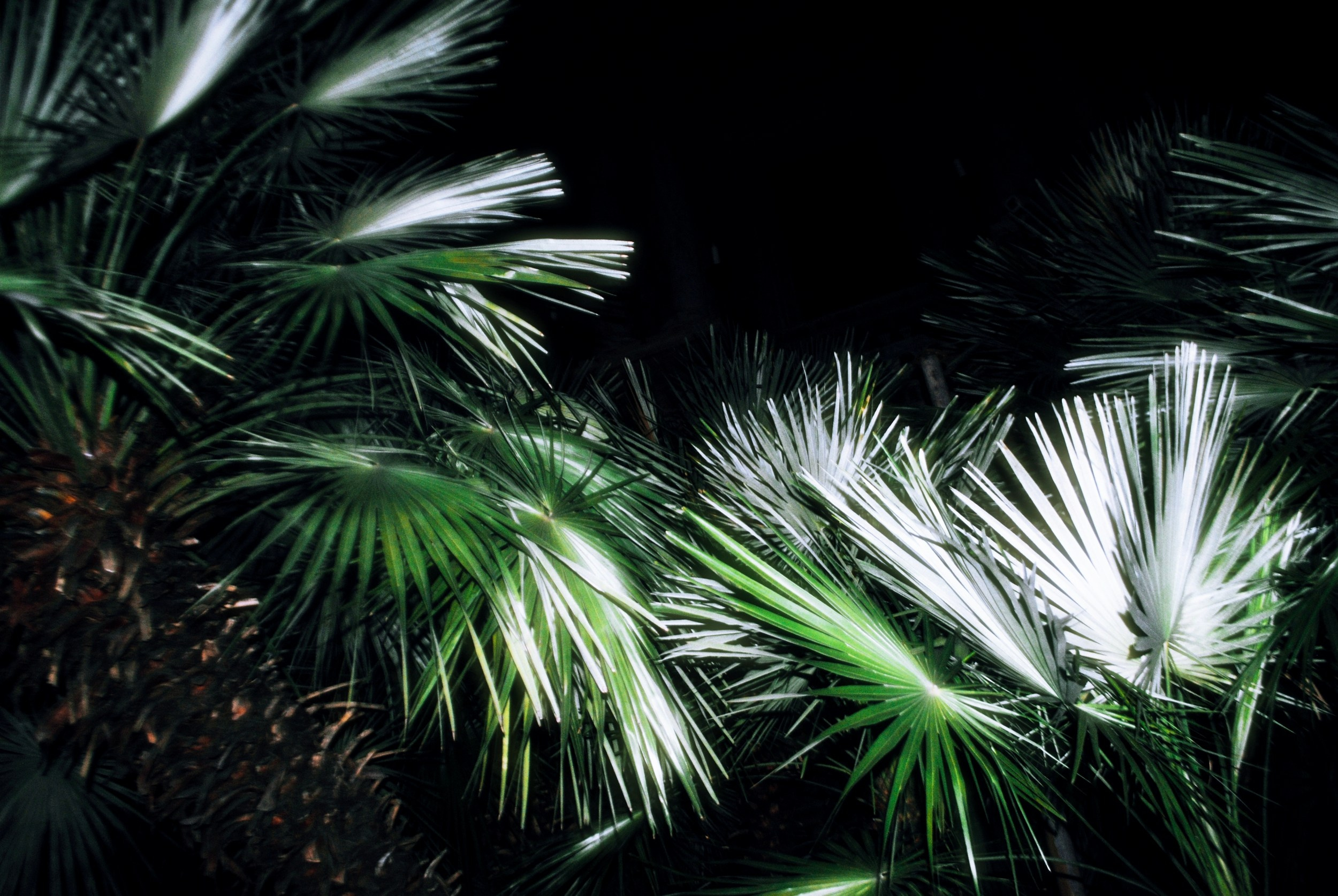 Италия стрит. Iraogo