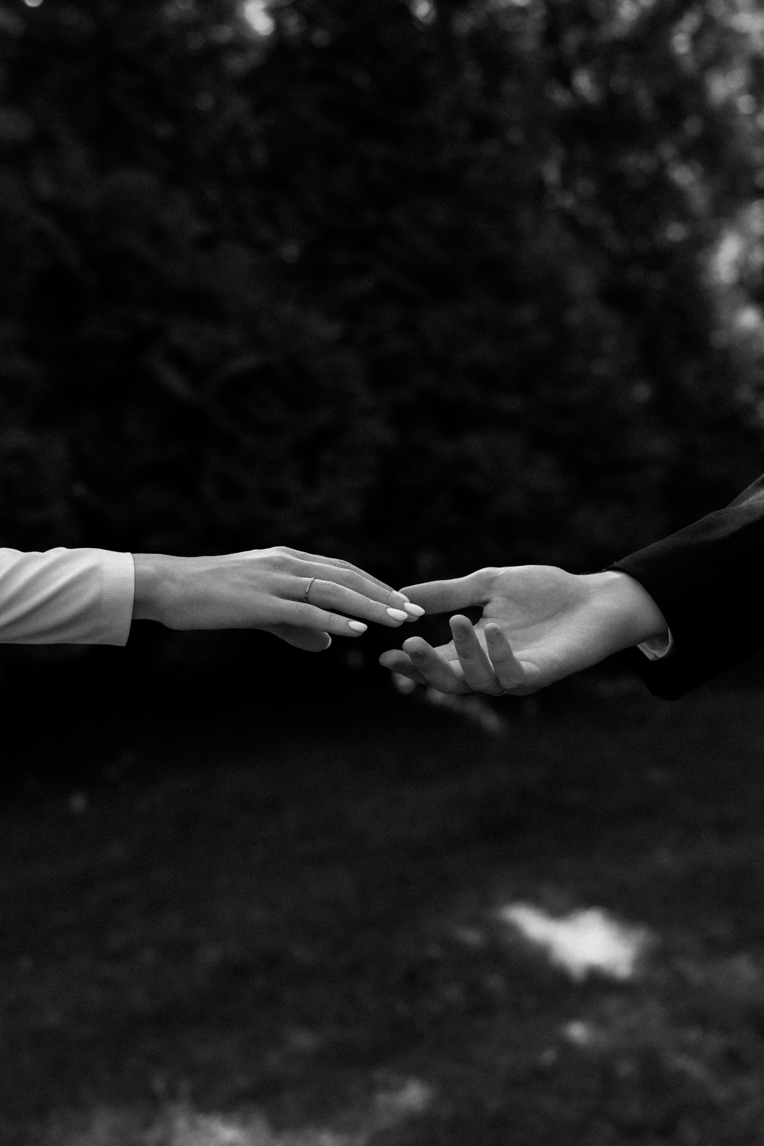 Свадебный фотограф в Волгограде и Краснодаре