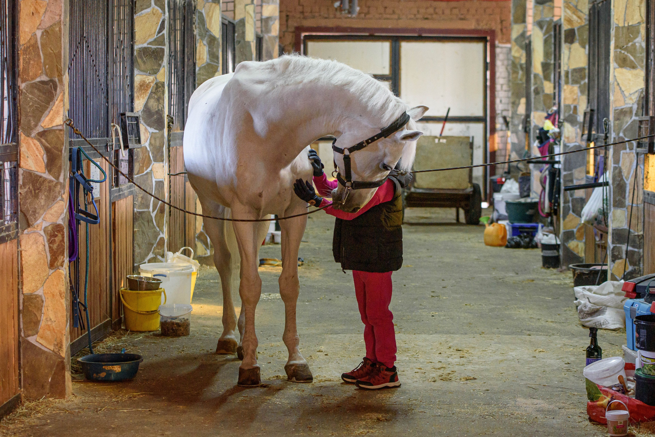 Лиза и Хогвардс. Мотофотограф в Нижнем Новгороде Динара Зуйкова