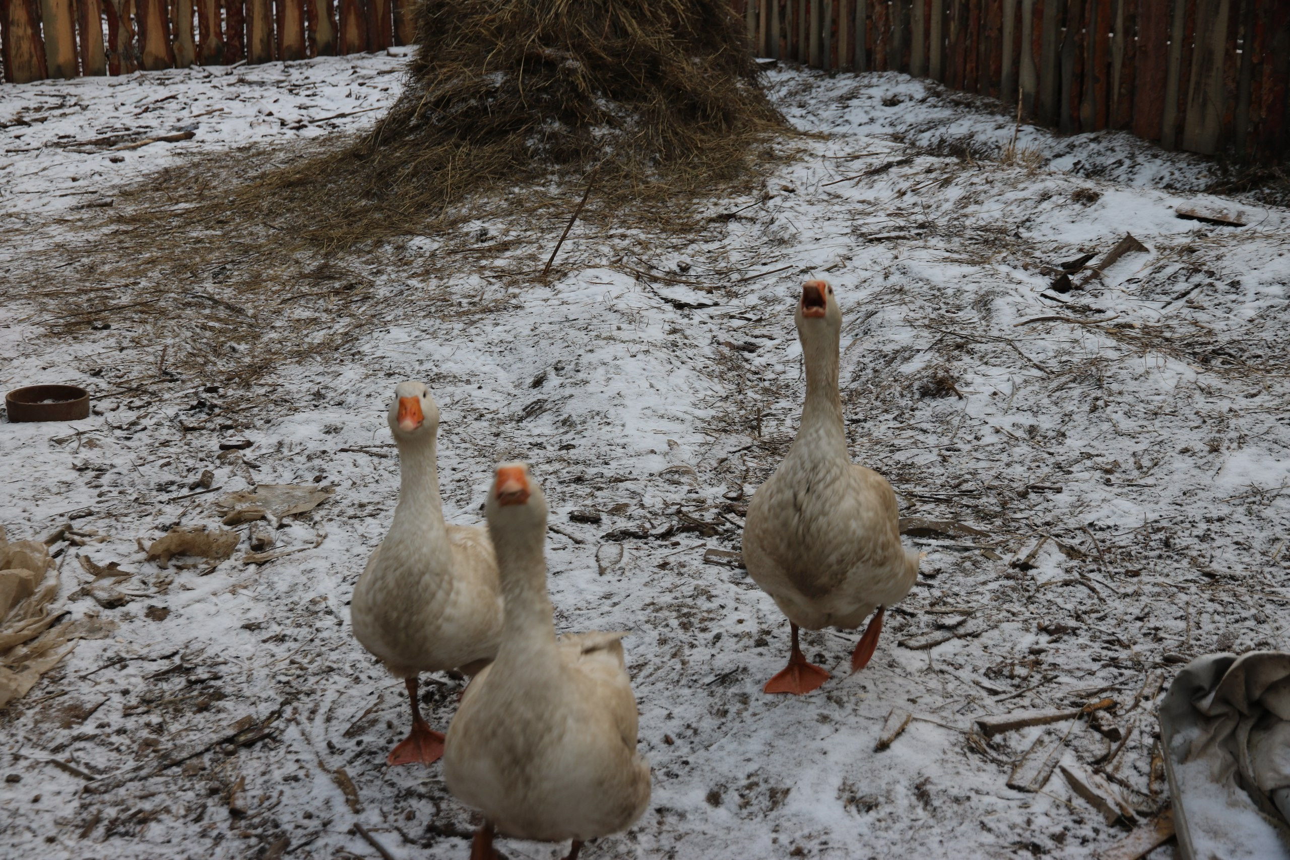 Екатеринбург | 21-23.10.2016. Галерея Фантим