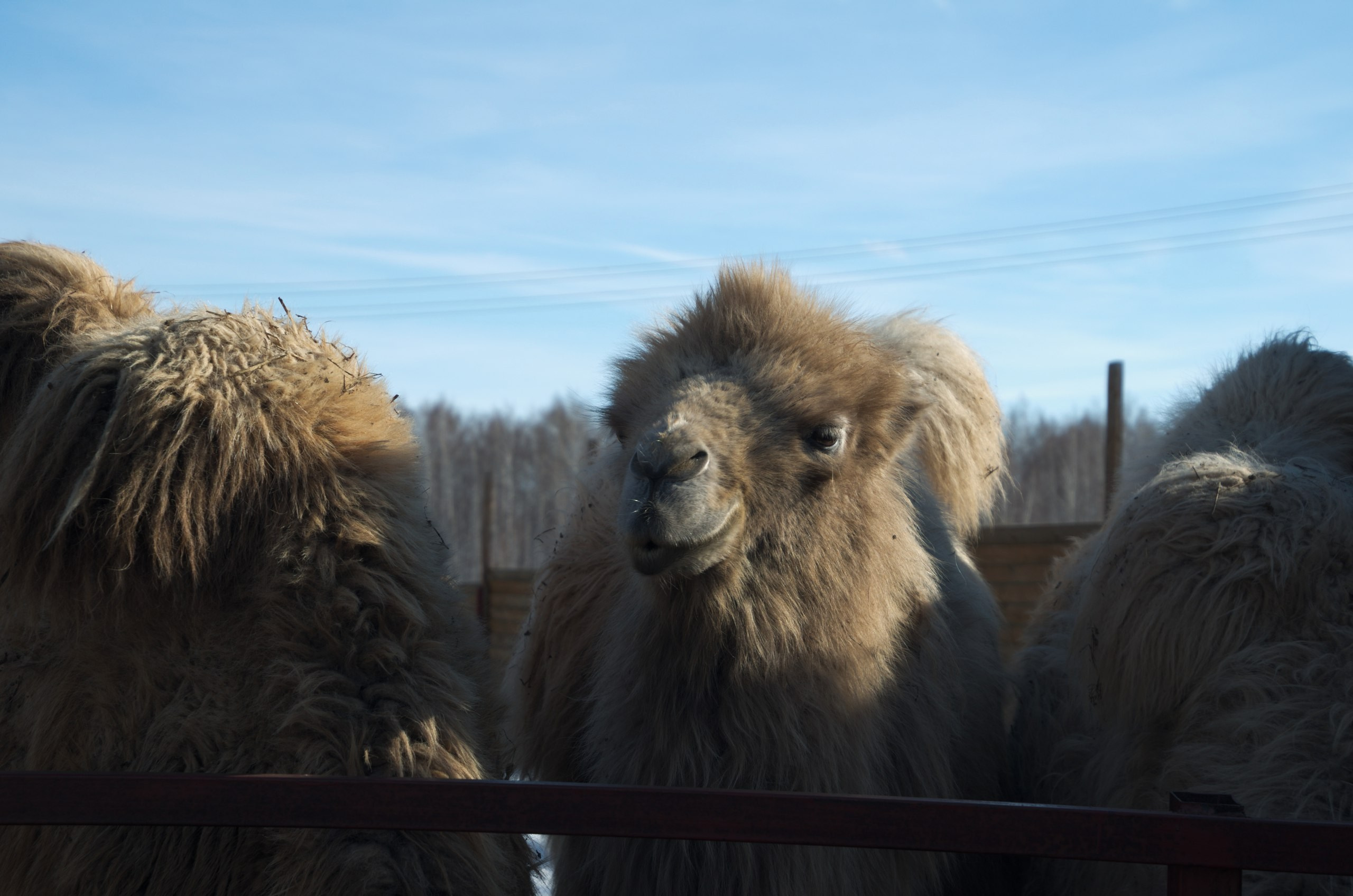 Казань | 24-26.03.2017. Галерея Фантим
