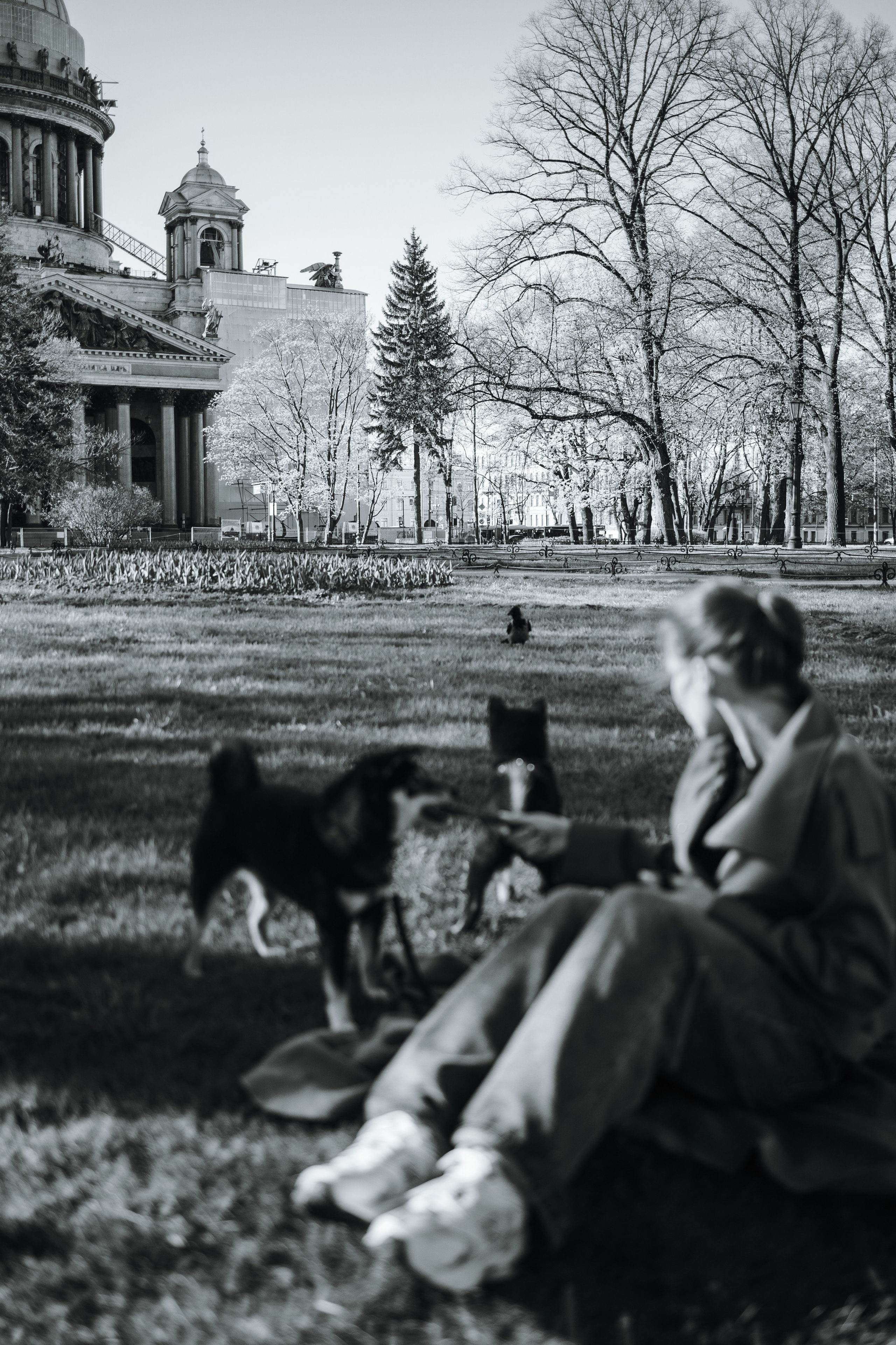 Даша и ее девочки. Фотограф — Анималист | Санкт-Петербург