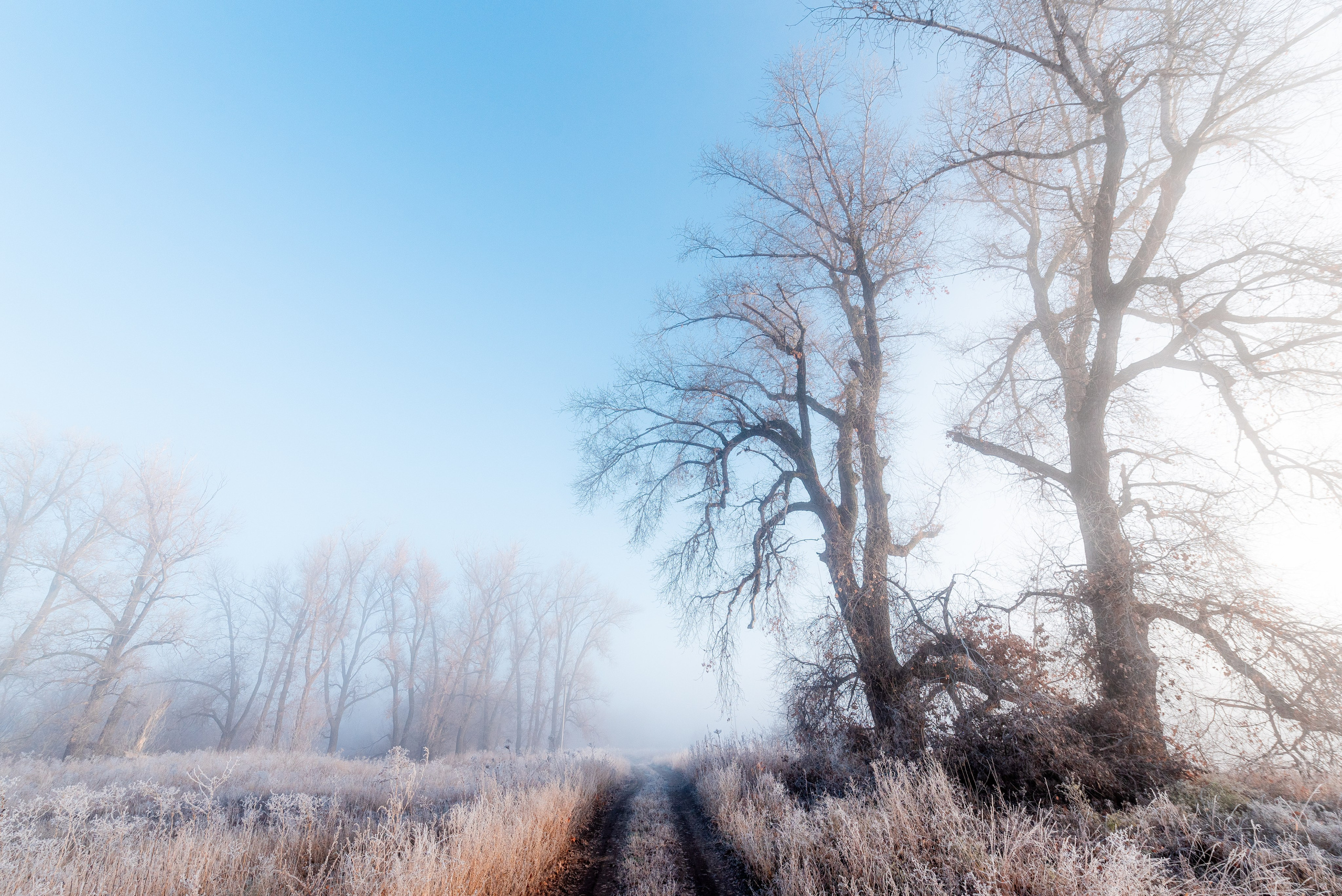 Фотографии утреннего тумана под Волжским. Фотограф в Волгограде и Волжском Александр Горбань