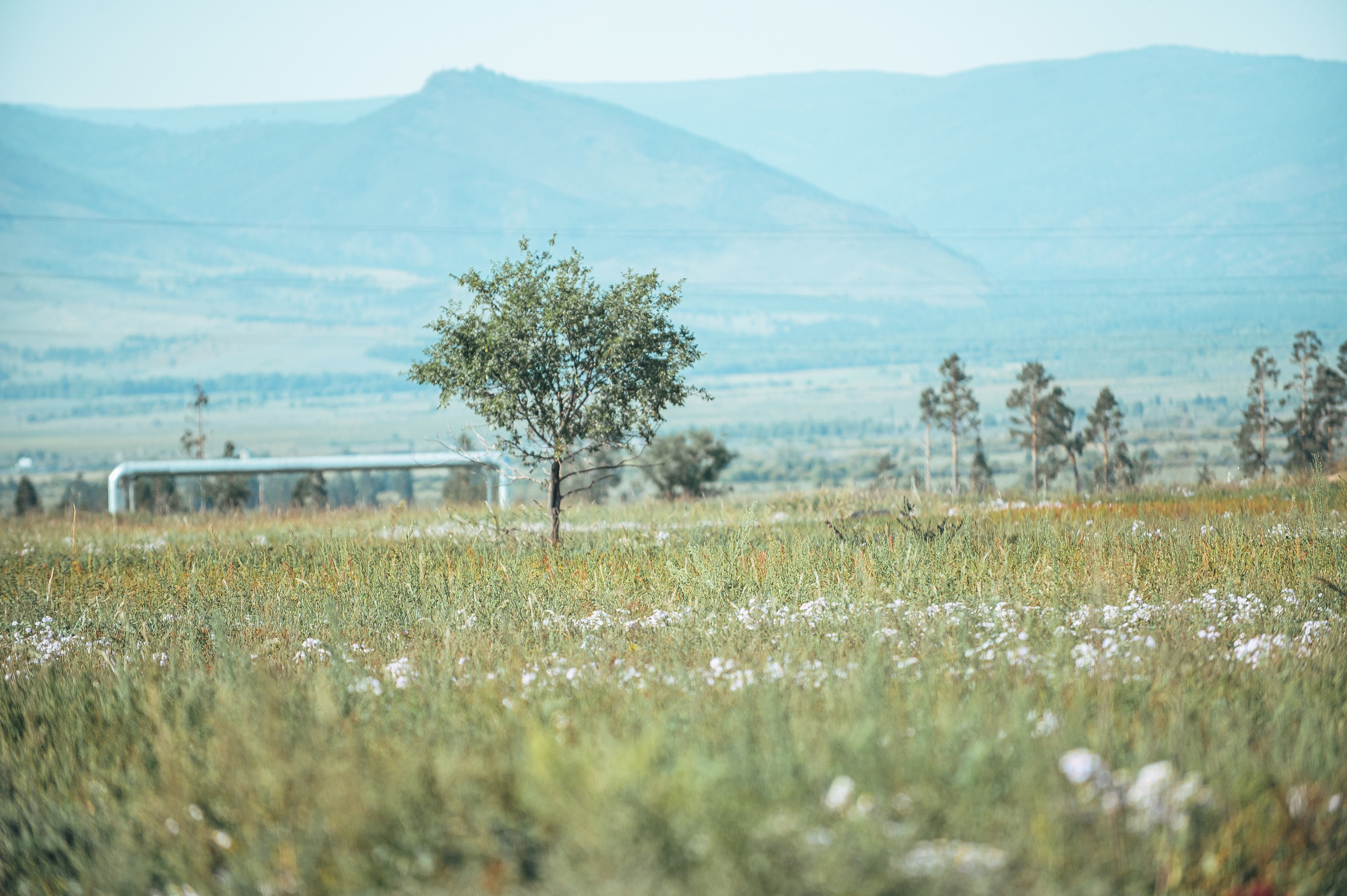 Свинокомплекс «СИБАГРО». Свадебная и концептуальная фотография в городе Улан-Удэ