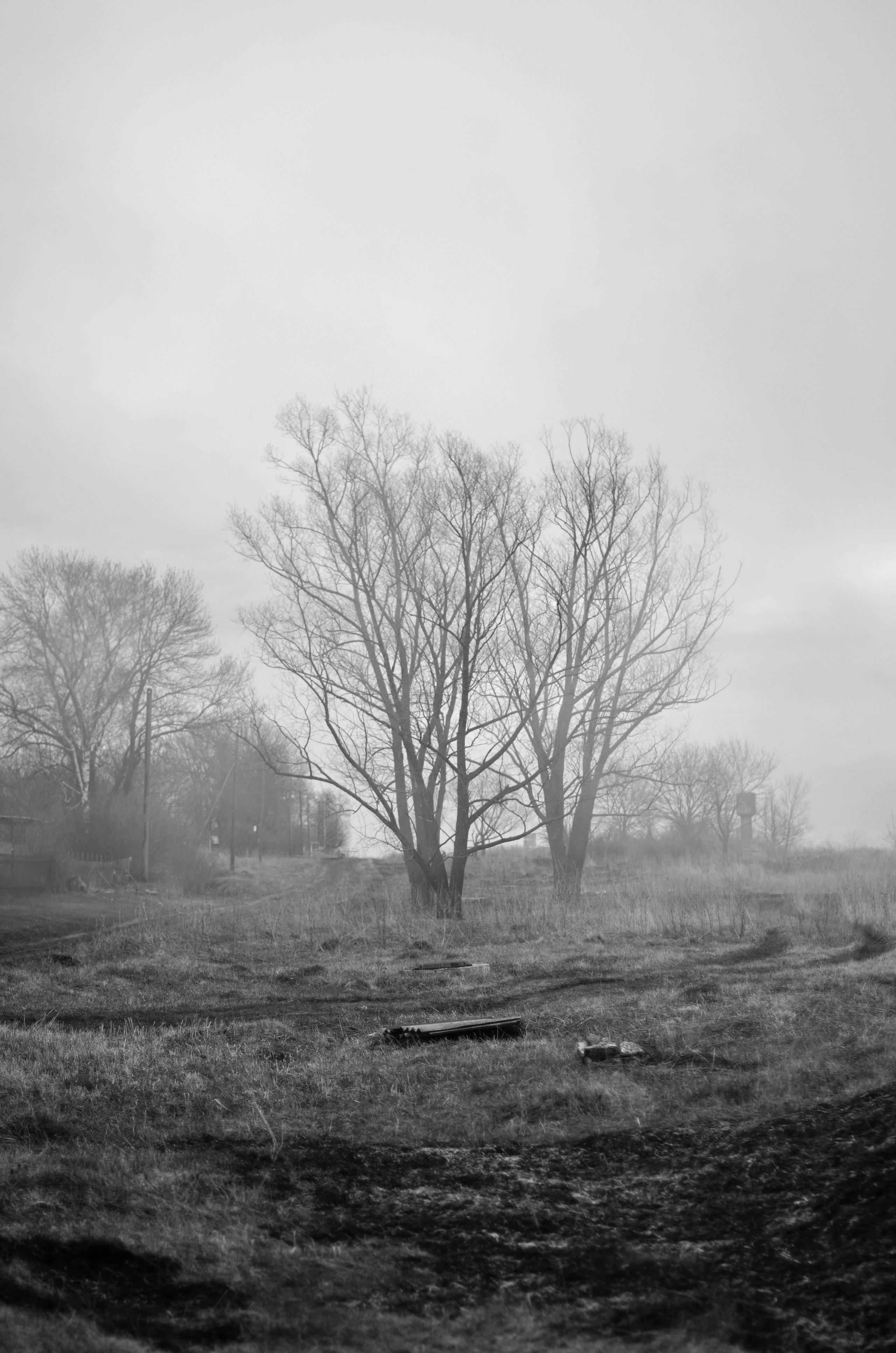 Пожары. Анна Хвалина