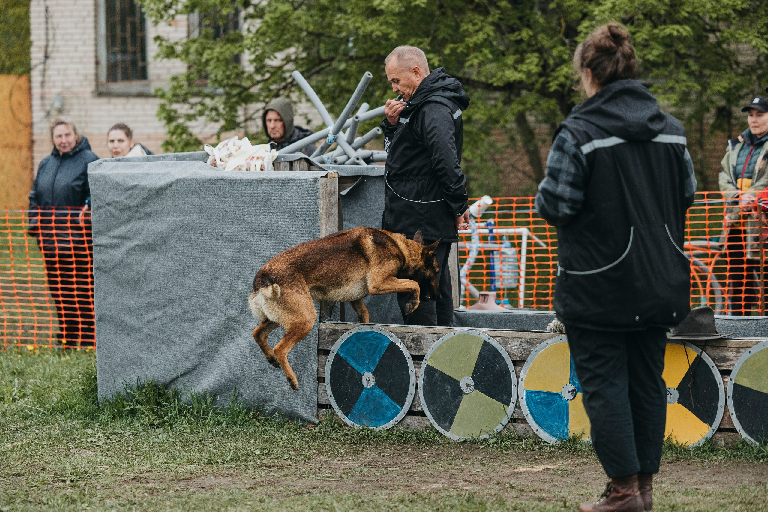26.05.25 г. Пушкин квалификационные соревнования. Фотограф-анималист Анна Маринич