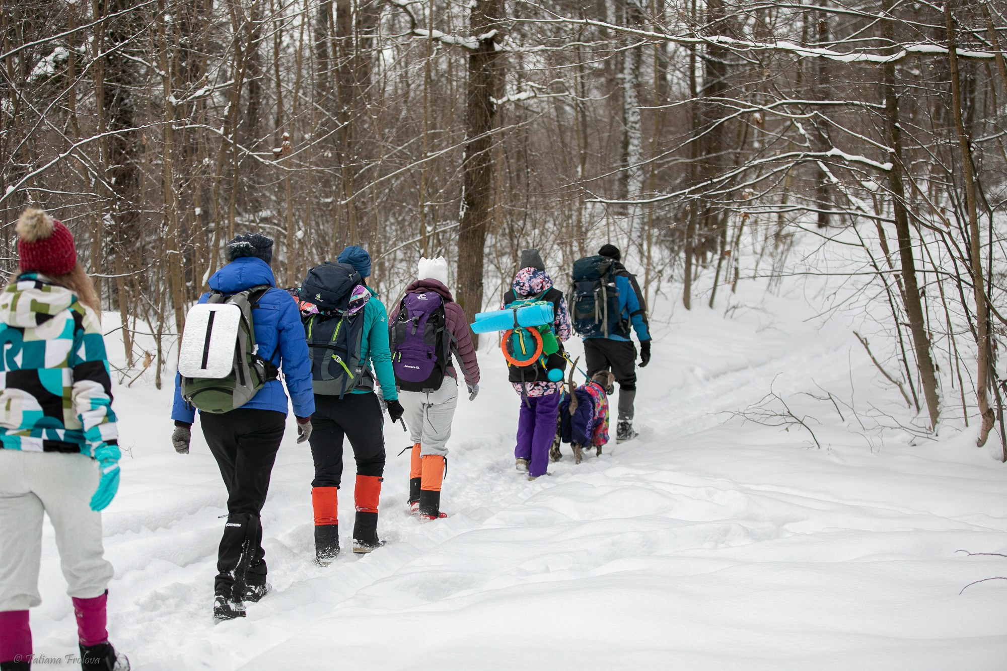 Фотосъемка похода с собаками в Московской области. Фотограф-анималист в Москве и Московской области Татьяна Фролова