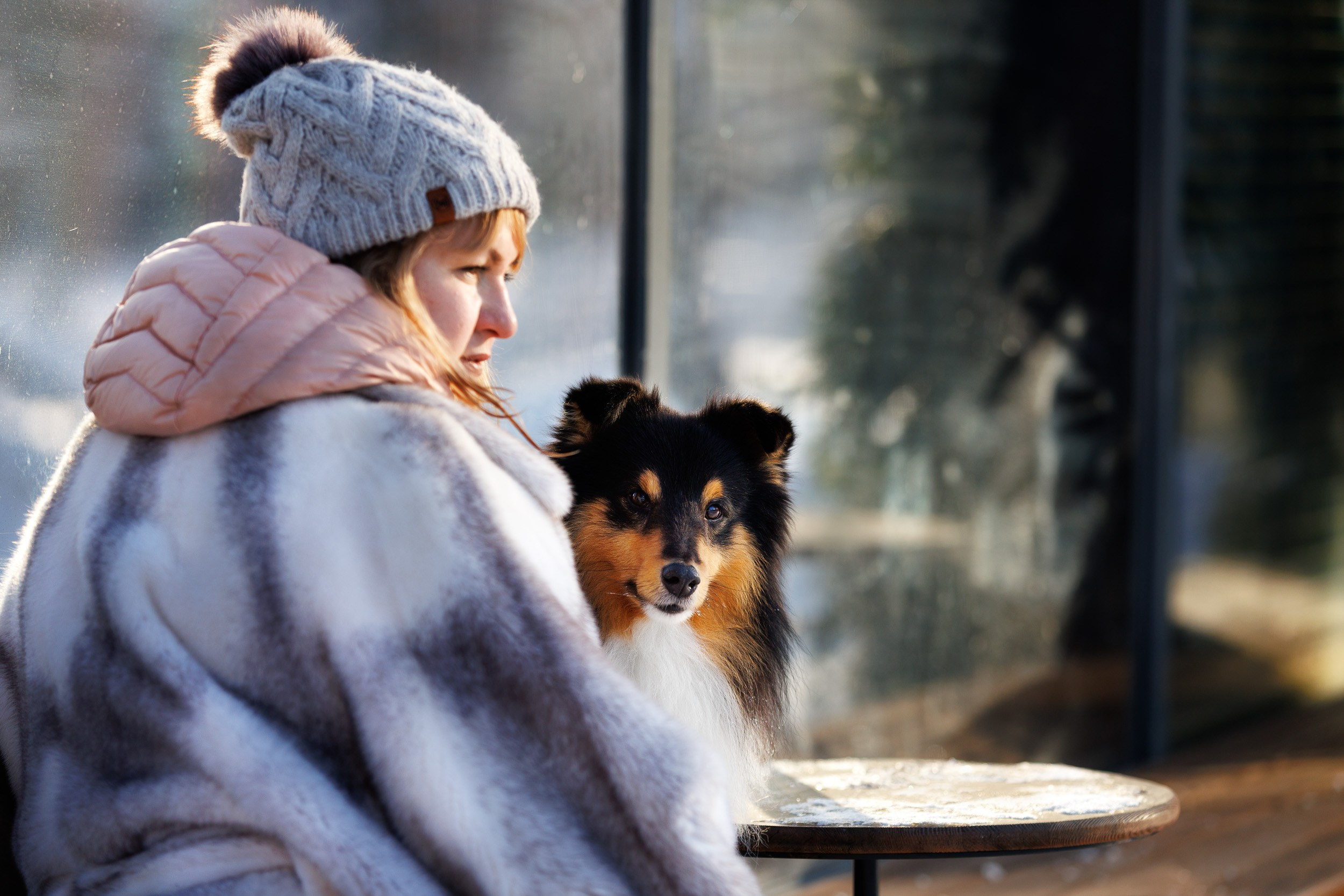 Марик и Дэн. Фотограф-анималист в Москве и Московской области Татьяна Фролова