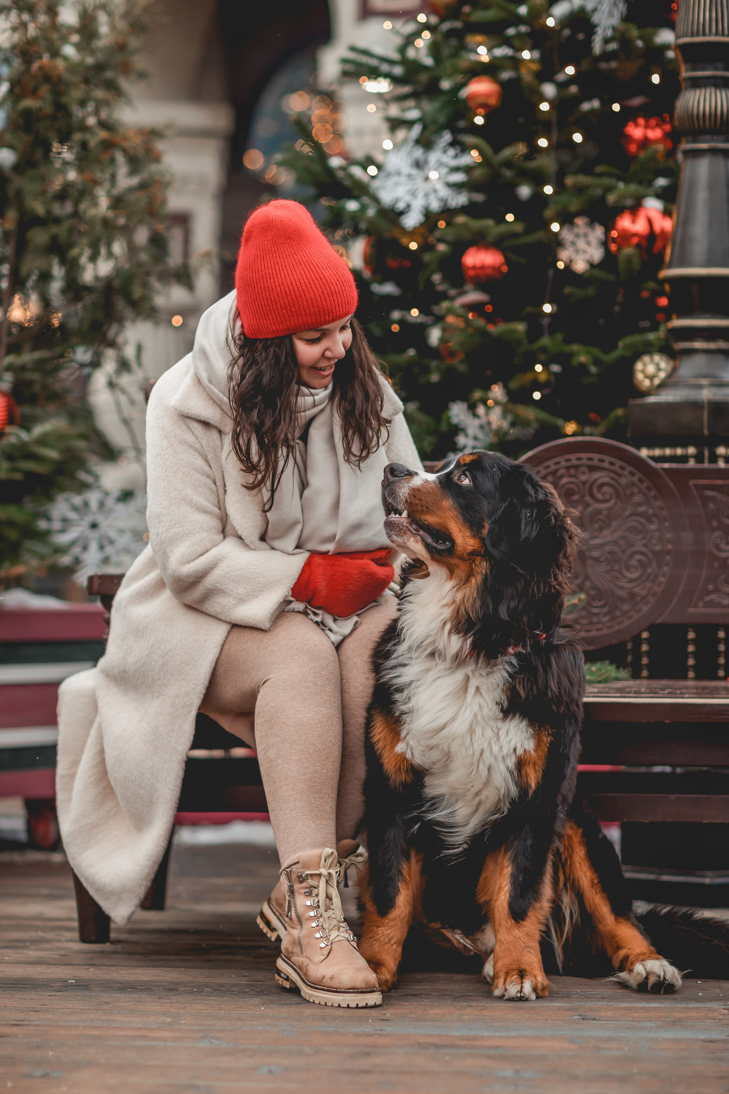 Татьяна и Терри. Семейный фотограф анималист Мария Крючкова