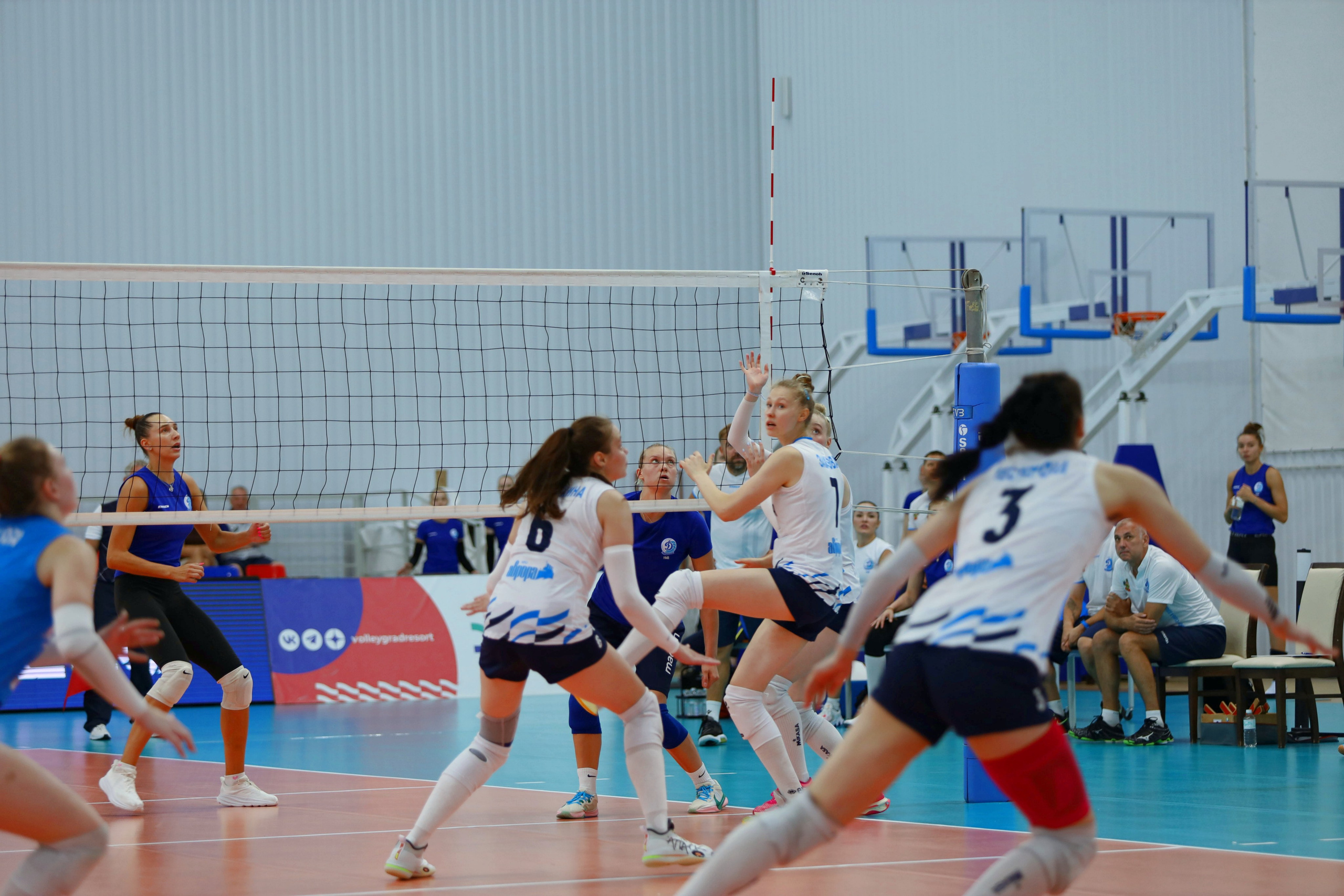 Волейбол ВФВ 09.08.24. Репортажный фотограф Анапа