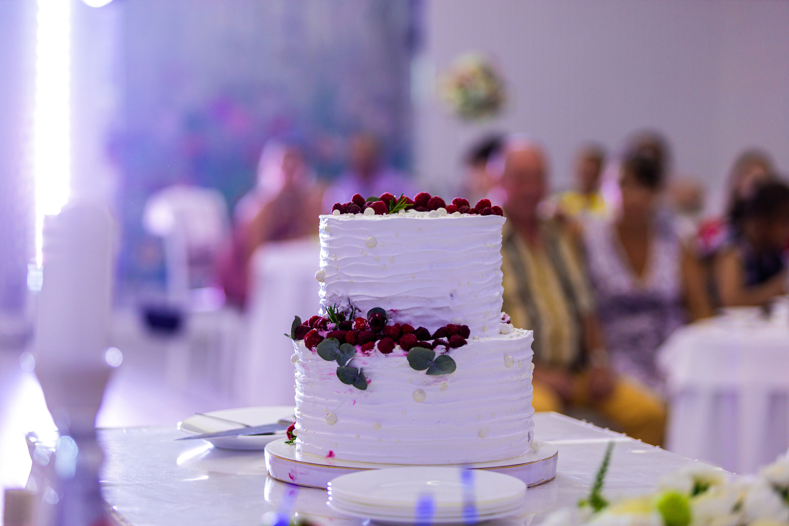 Банкет Роман и Валерия. Репортажный фотограф Анапа