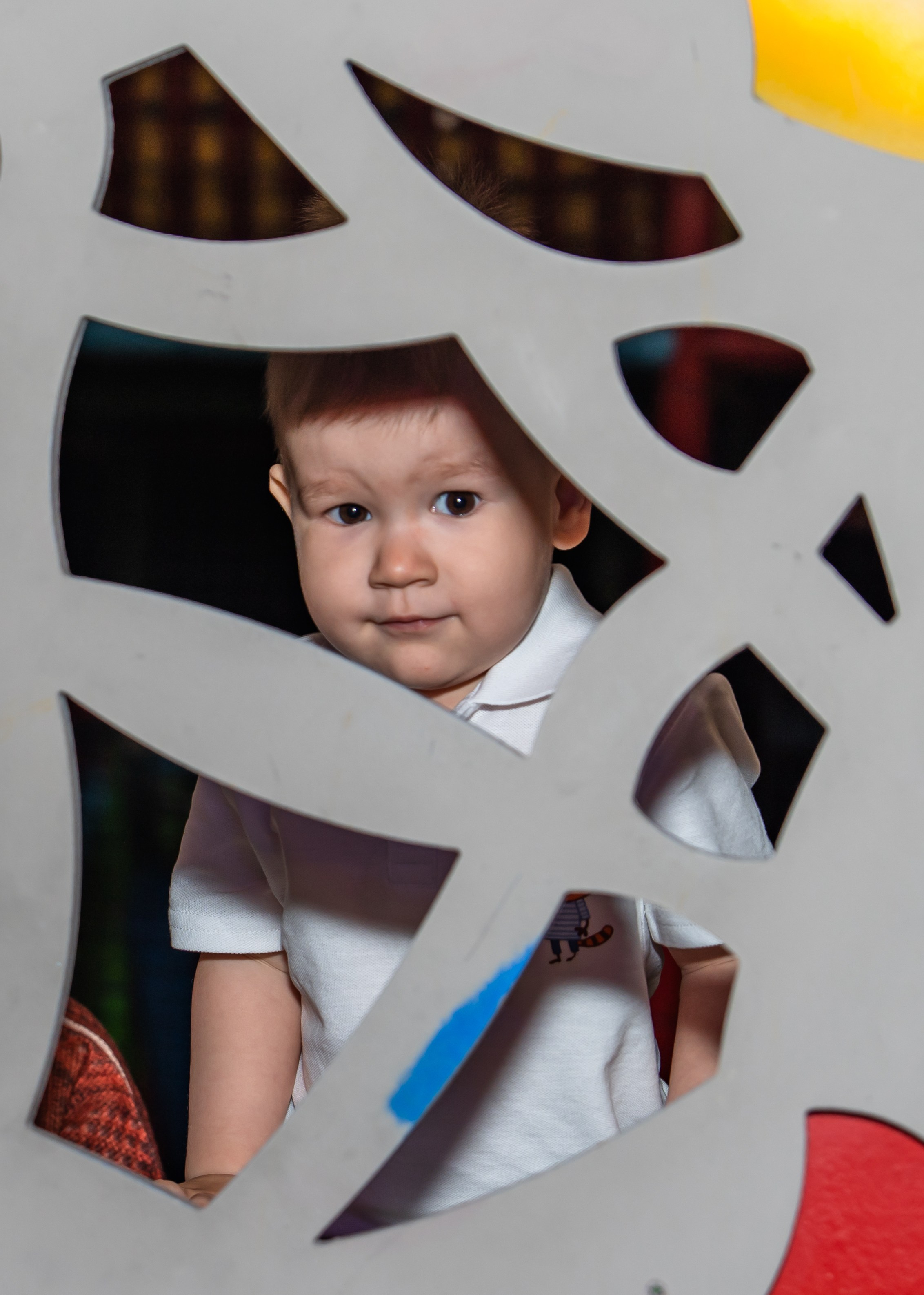 Коржик в Joki Joya. Крамер Юлиана детский и семейный фотограф