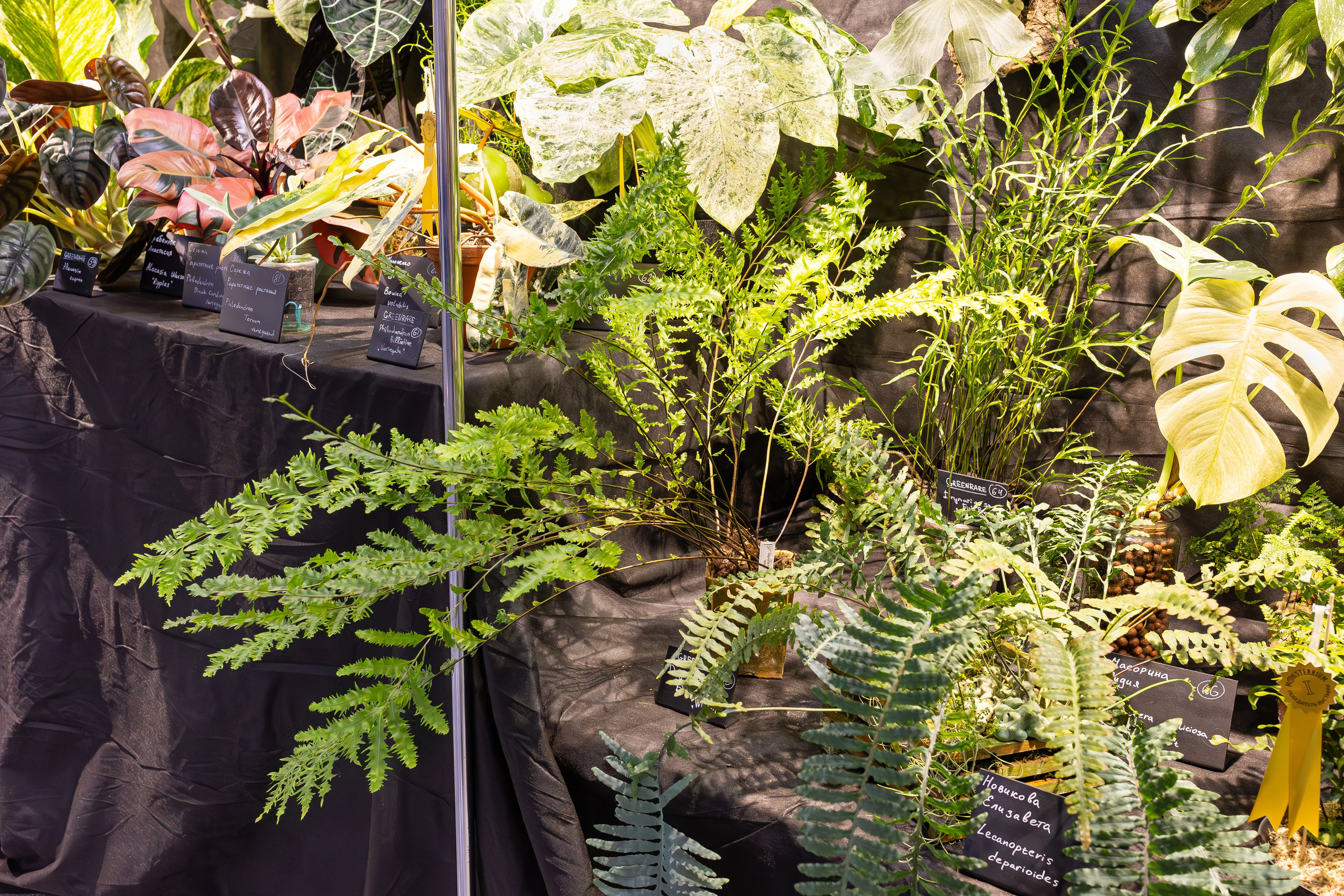 Монстериум 11–12 октября. Александра Куликова фотограф, Москва