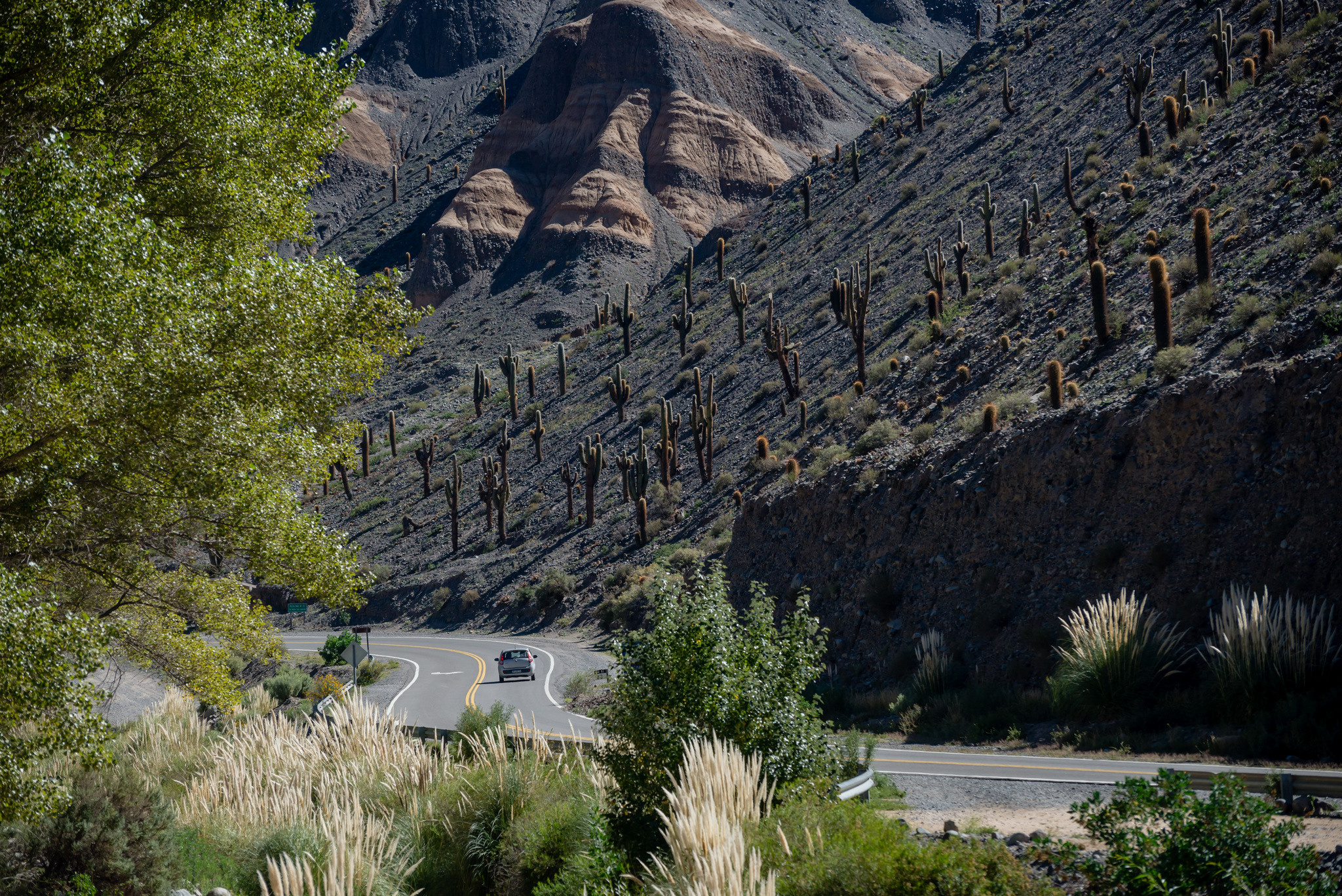 Фотографии из путешествий. Foto-Zuev фотография как искусство