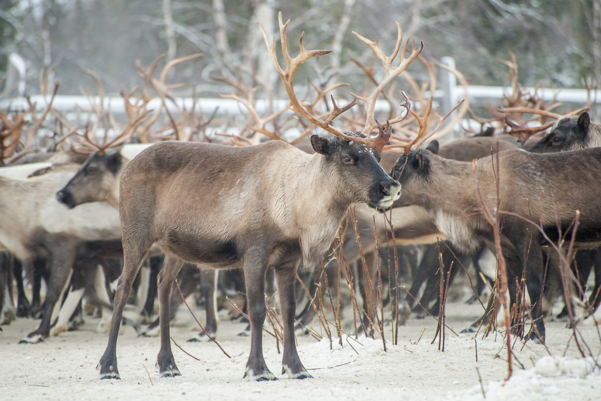 Фотографии из путешествий. Foto-Zuev фотография как искусство