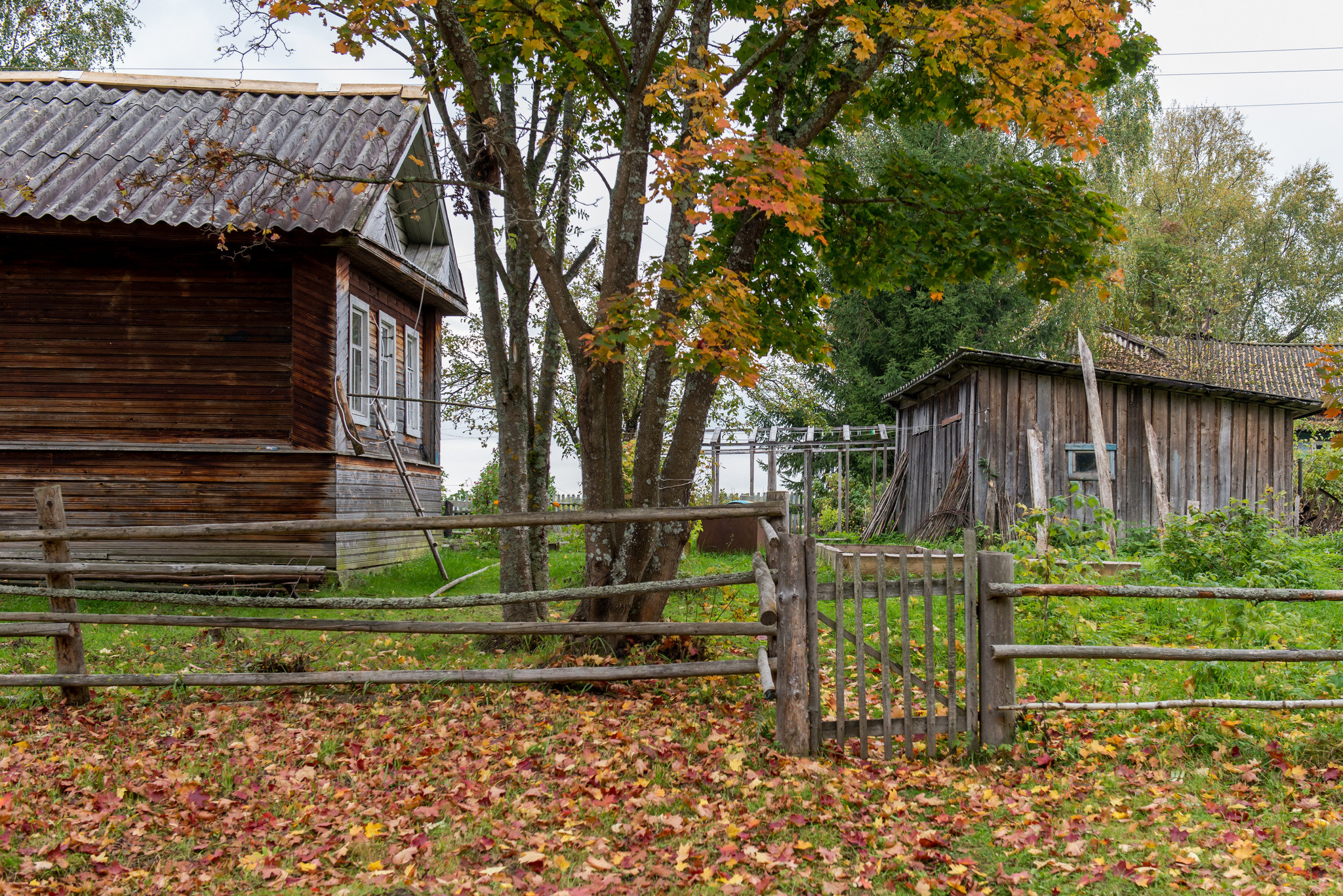 Фотографии из путешествий. Foto-Zuev фотография как искусство