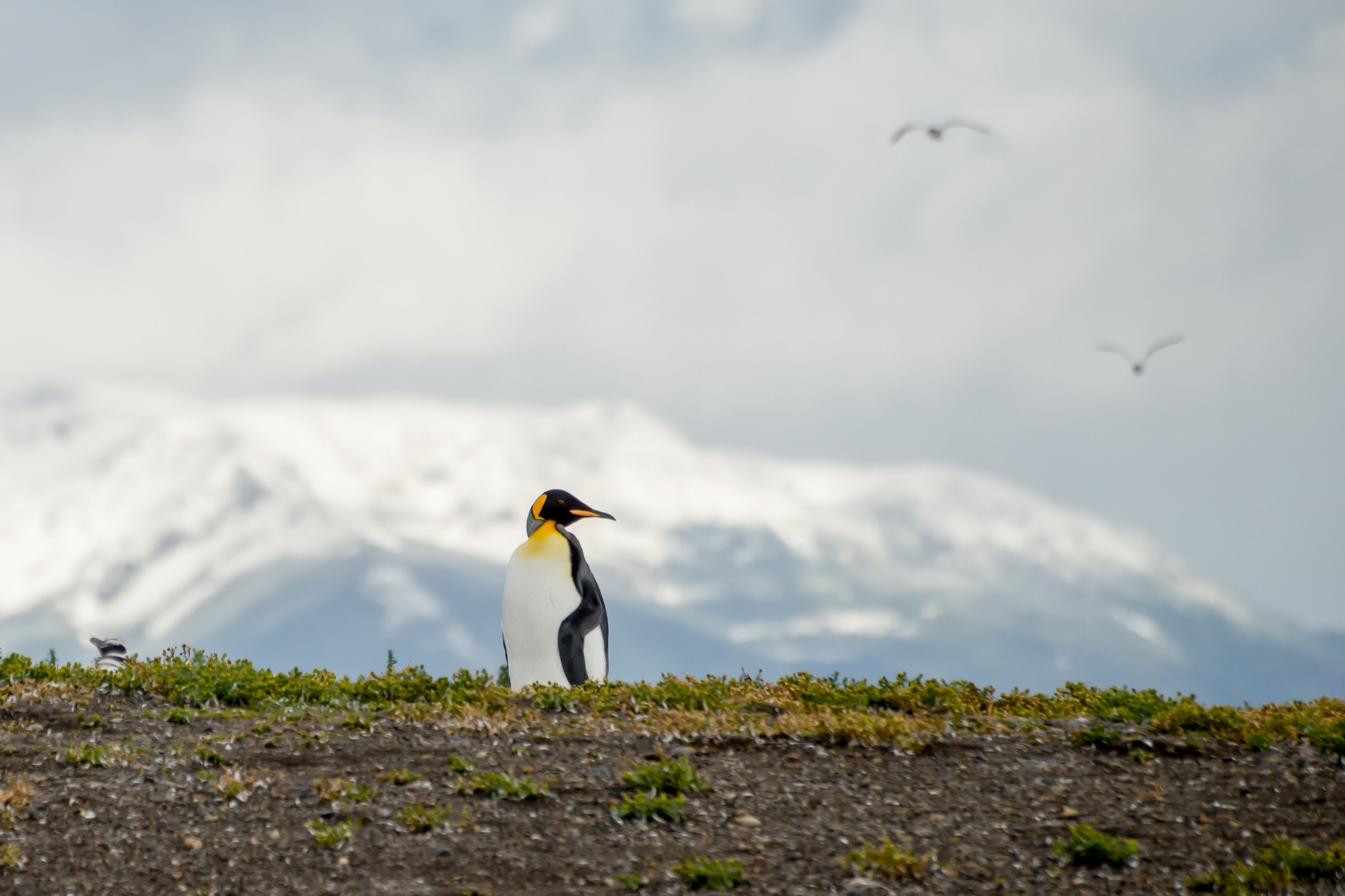 Фотографии из путешествий. Foto-Zuev фотография как искусство